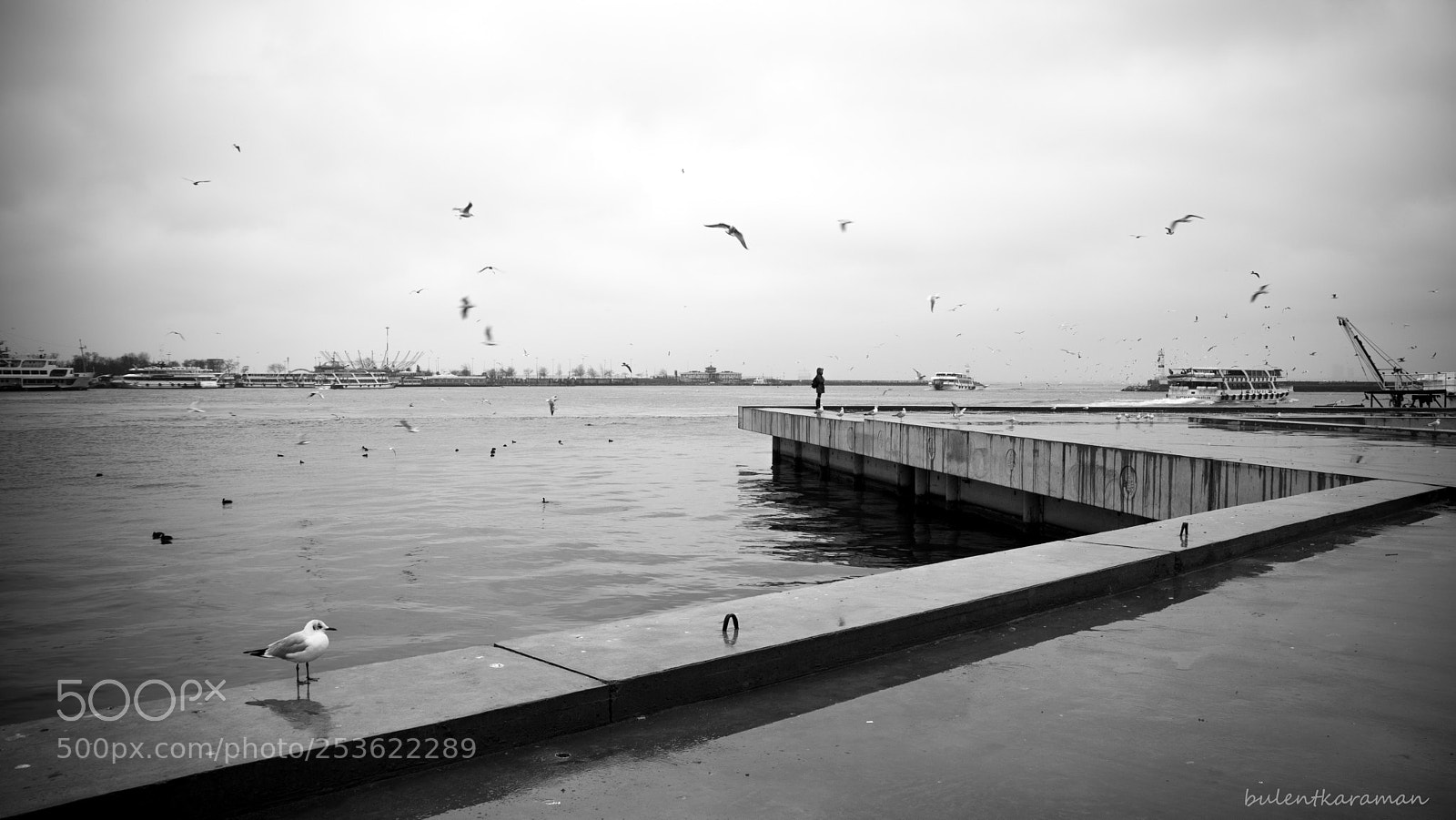 Nikon D7200 sample photo. Untitled photography