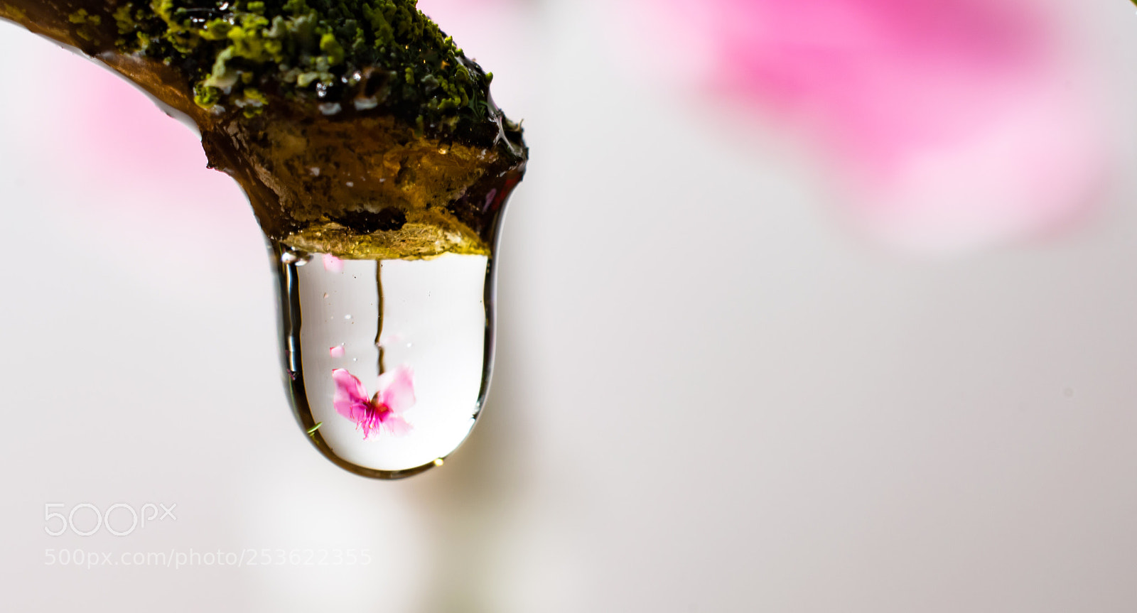 Nikon D5200 sample photo. Untitled photography