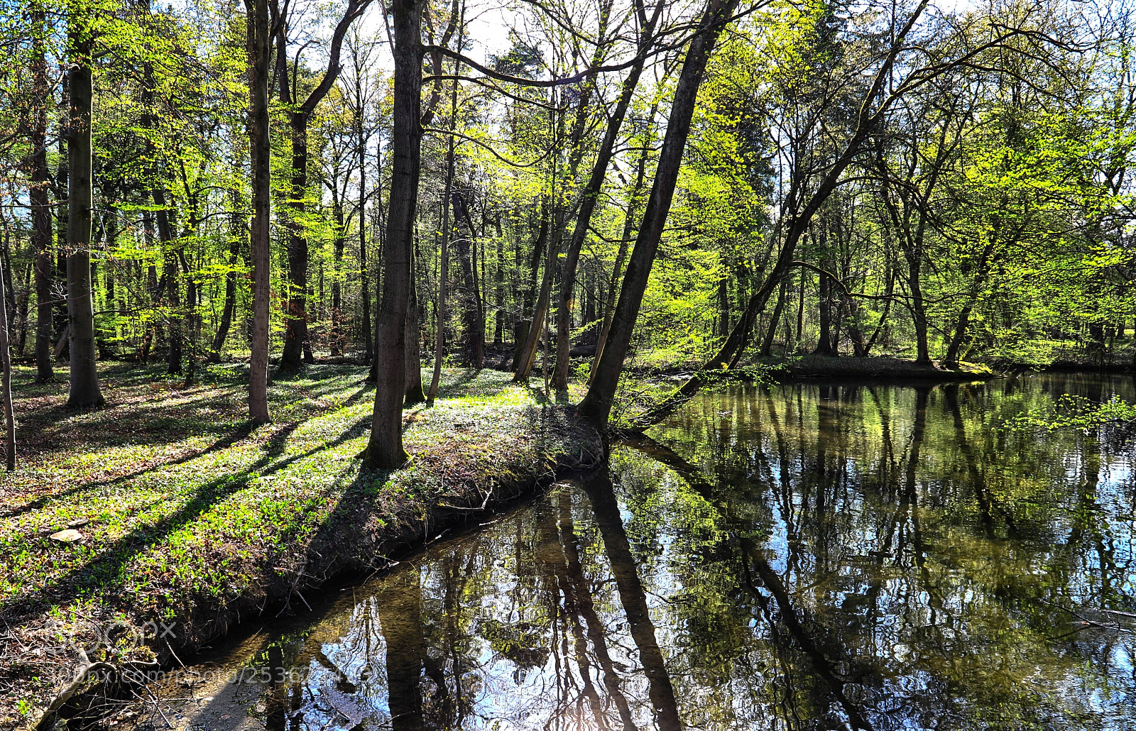 Canon EOS 6D Mark II sample photo. Magical spring photography