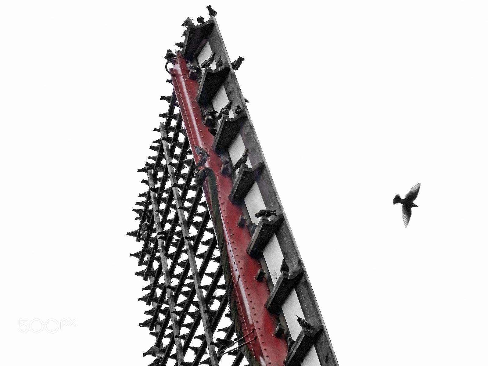 FujiFilm FinePix HS20 EXR (FinePix HS22 EXR) sample photo