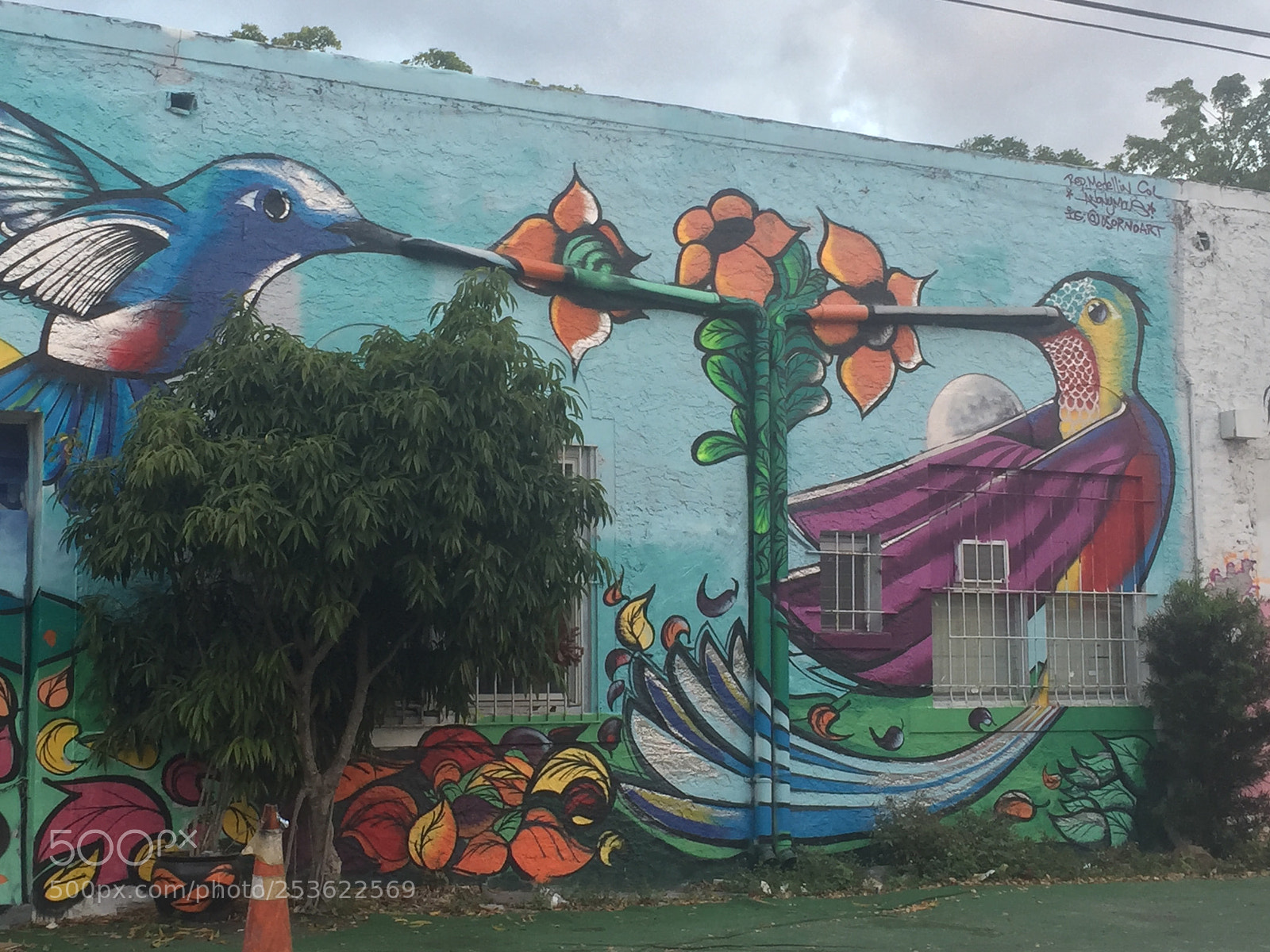 Apple iPhone 6 Plus sample photo. Wynwood walls is an photography