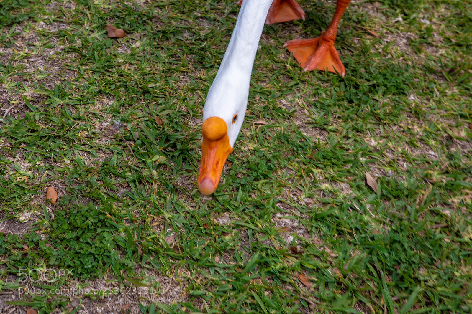 Canon EOS 5D Mark IV sample photo. 0a8a4546.jpg photography
