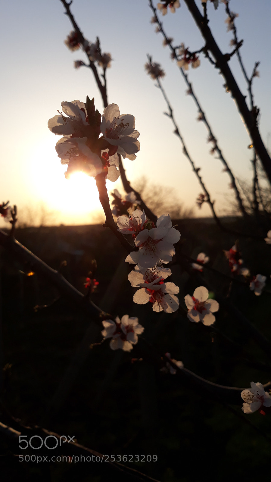 Samsung Galaxy J7 sample photo. [] photography