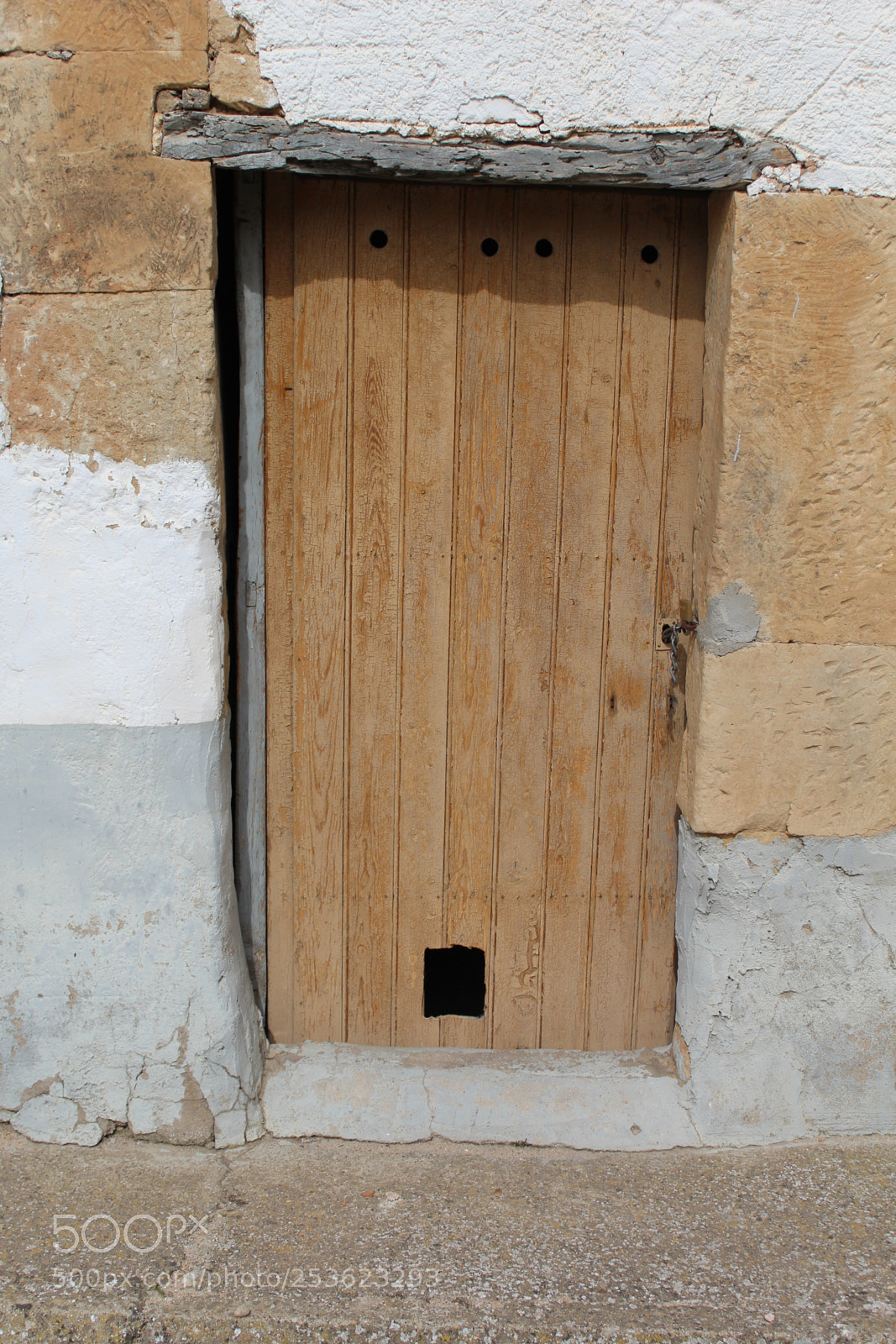 Canon EOS 1300D (EOS Rebel T6 / EOS Kiss X80) sample photo. Puerta con gatera photography