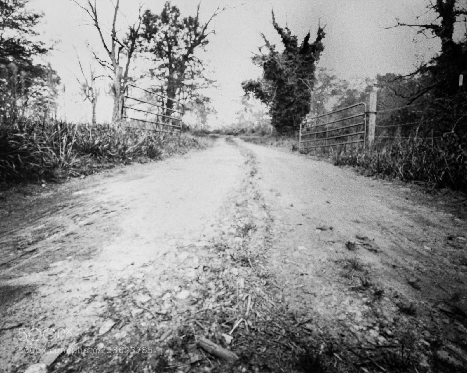 Pentax K-5 sample photo. Farm gate #1 photography