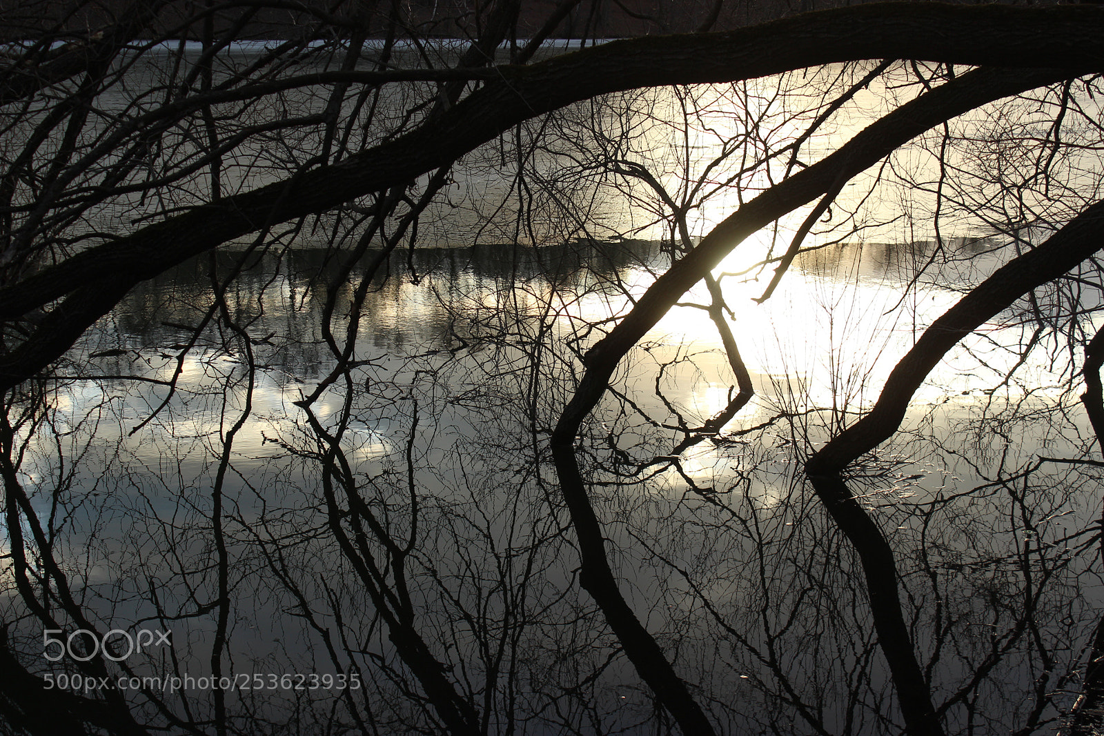 Canon EOS 600D (Rebel EOS T3i / EOS Kiss X5) sample photo. *** photography