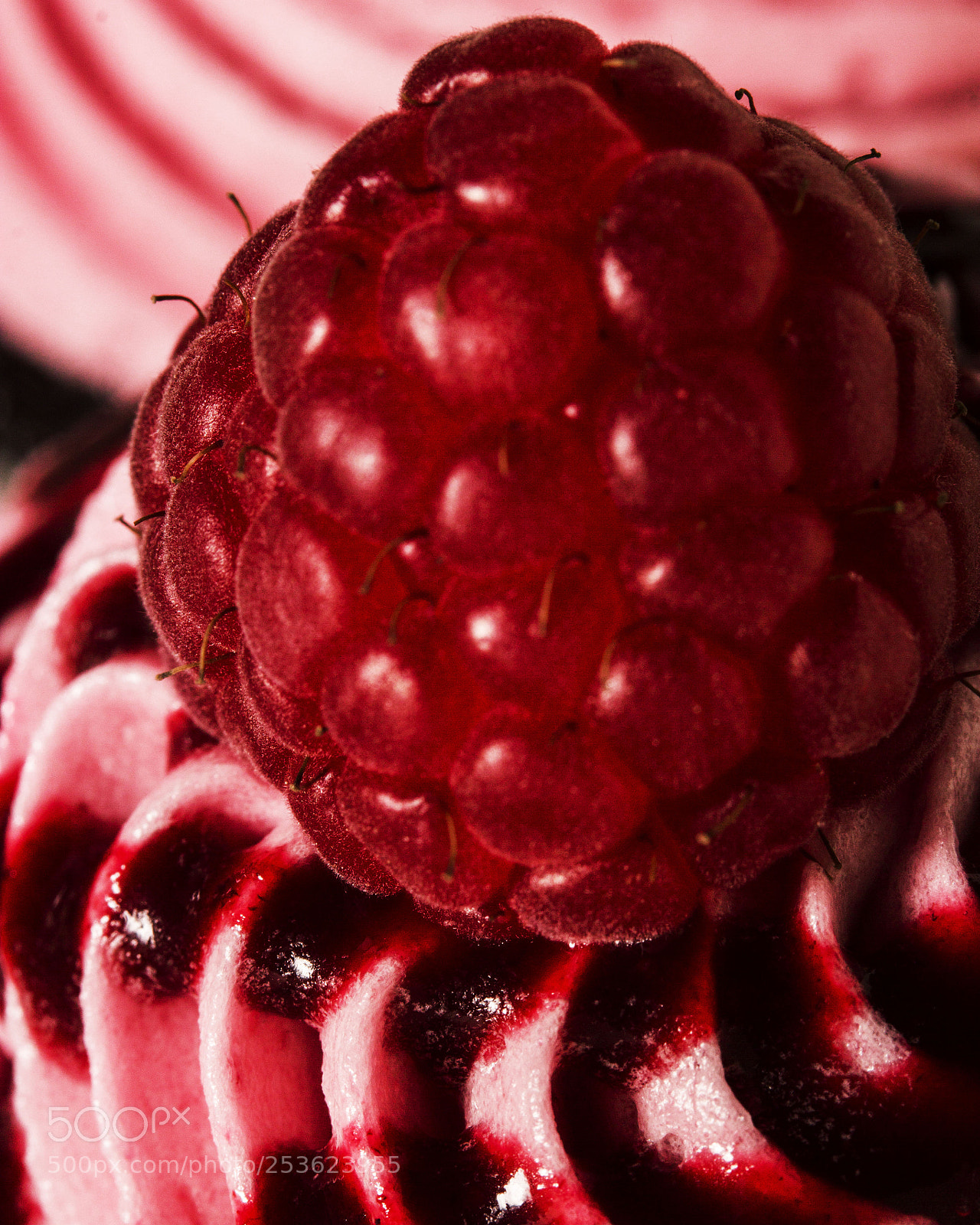 Canon EOS 60D sample photo. Cupcake photography