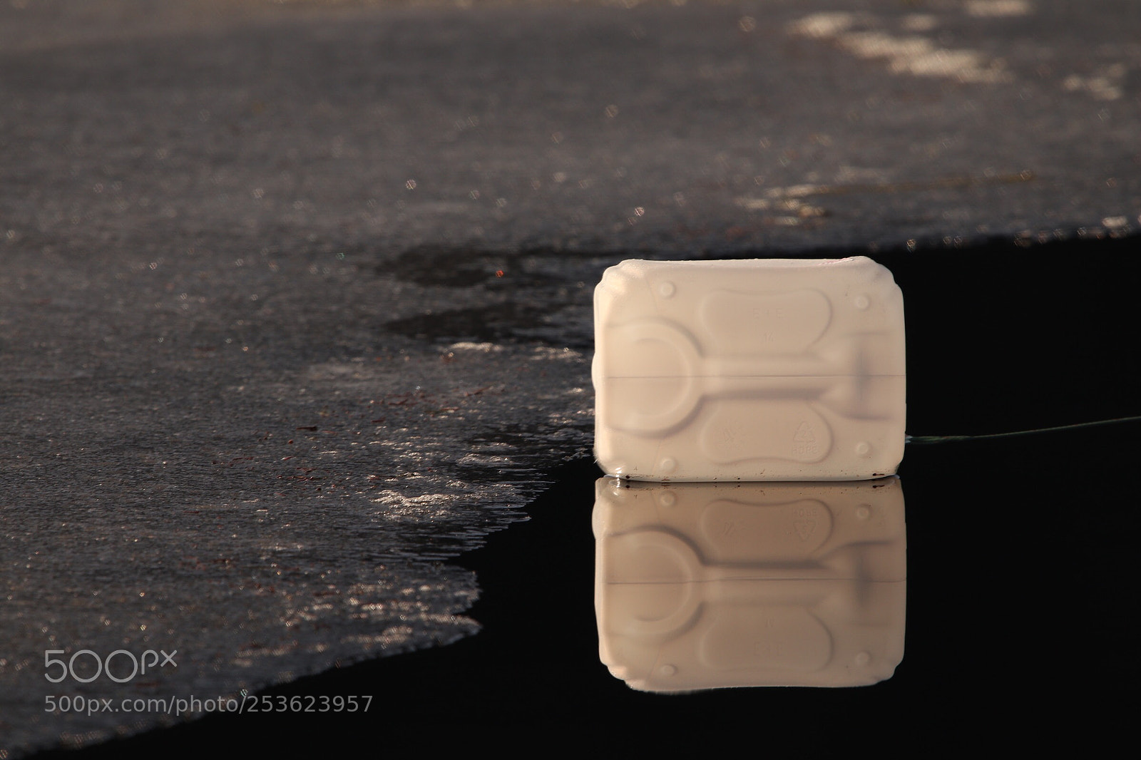 Canon EOS 77D (EOS 9000D / EOS 770D) sample photo. Untitled photography