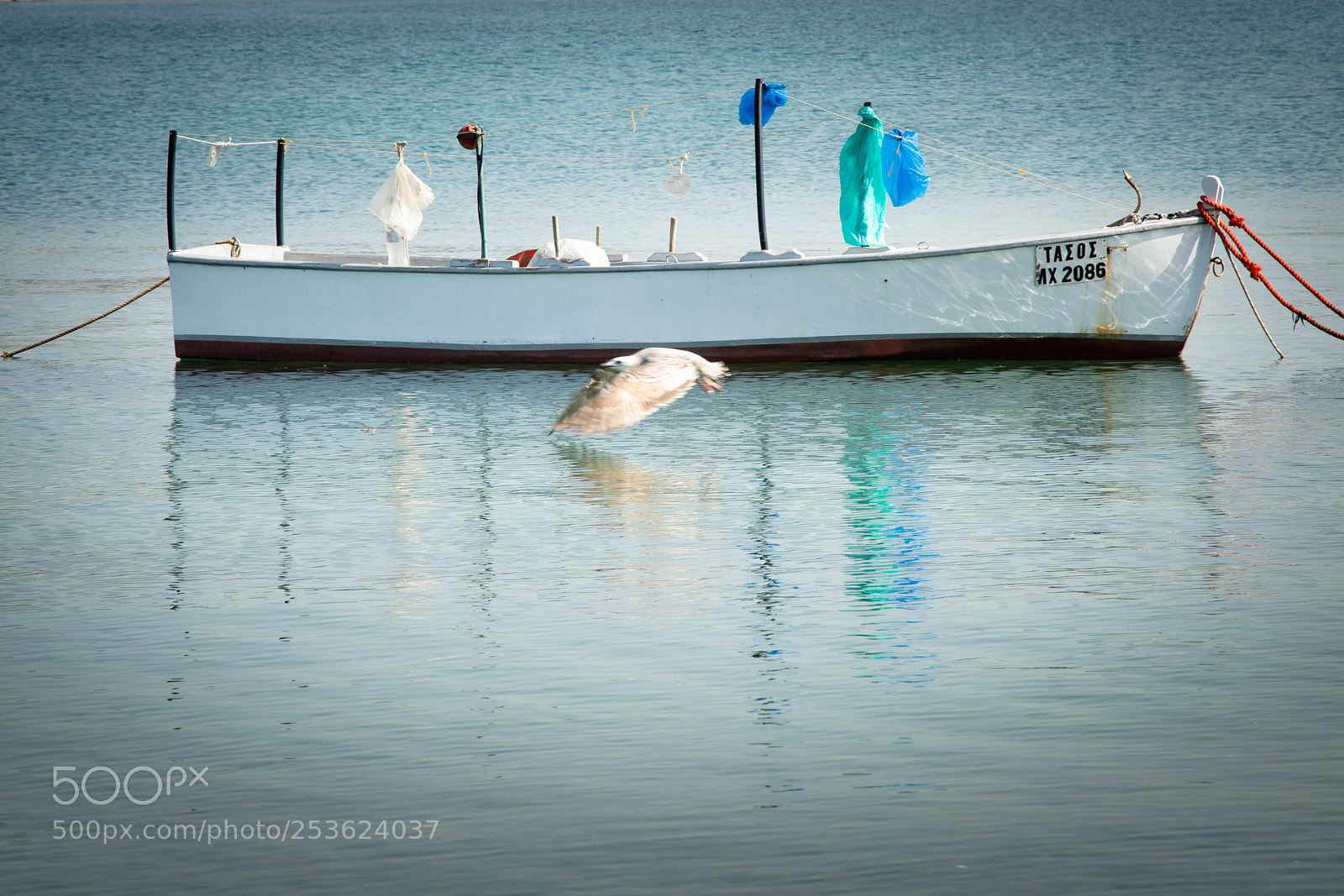Nikon D7200 sample photo. Untitled photography