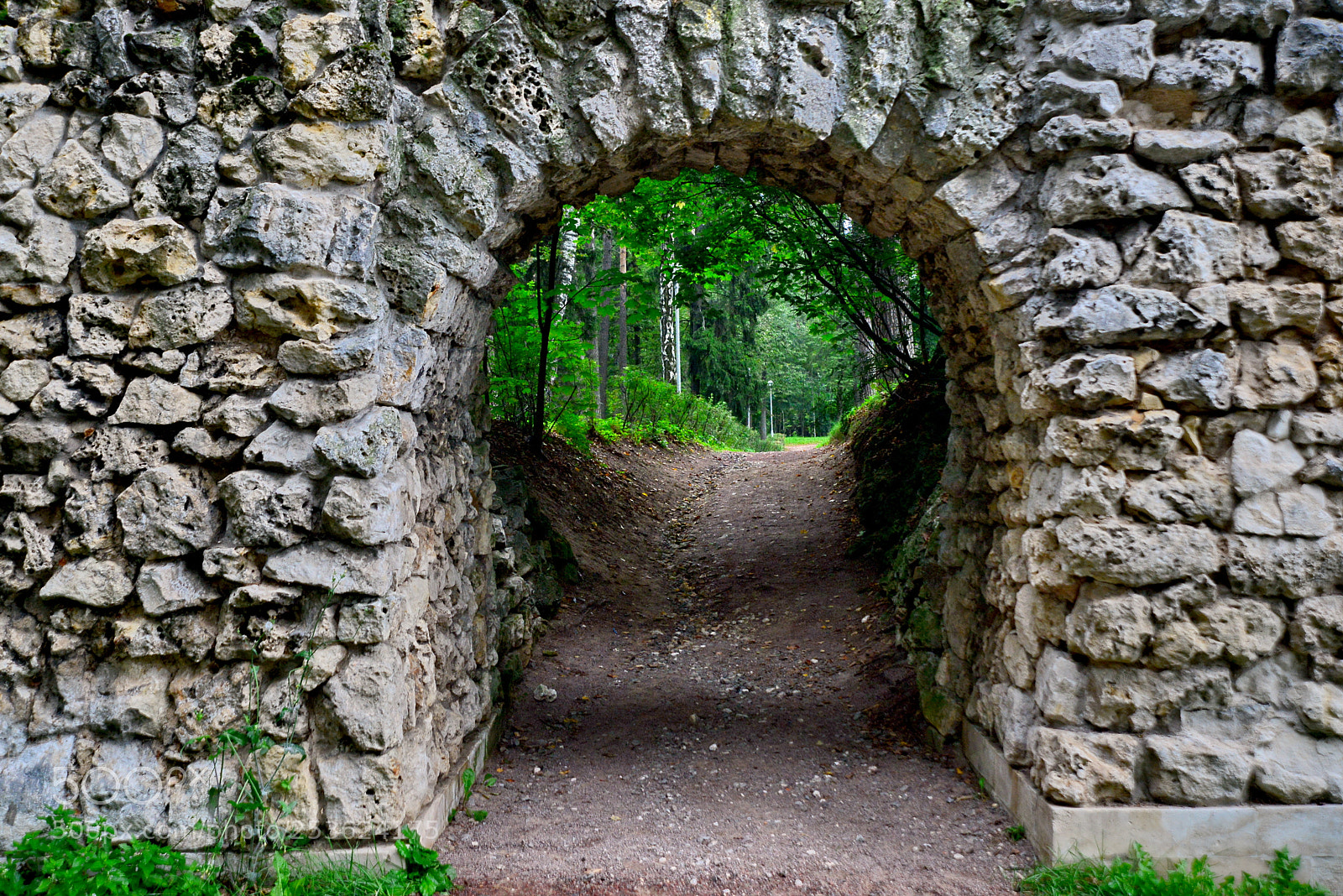 Nikon D600 sample photo. The exit in wood... photography