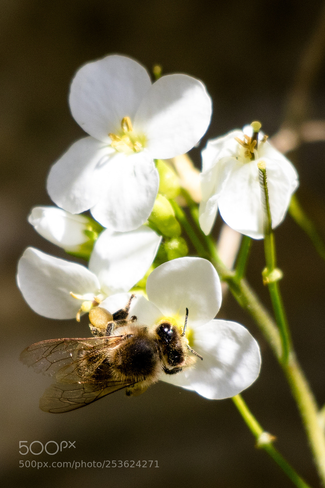 Canon EOS M6 sample photo. Just resting photography