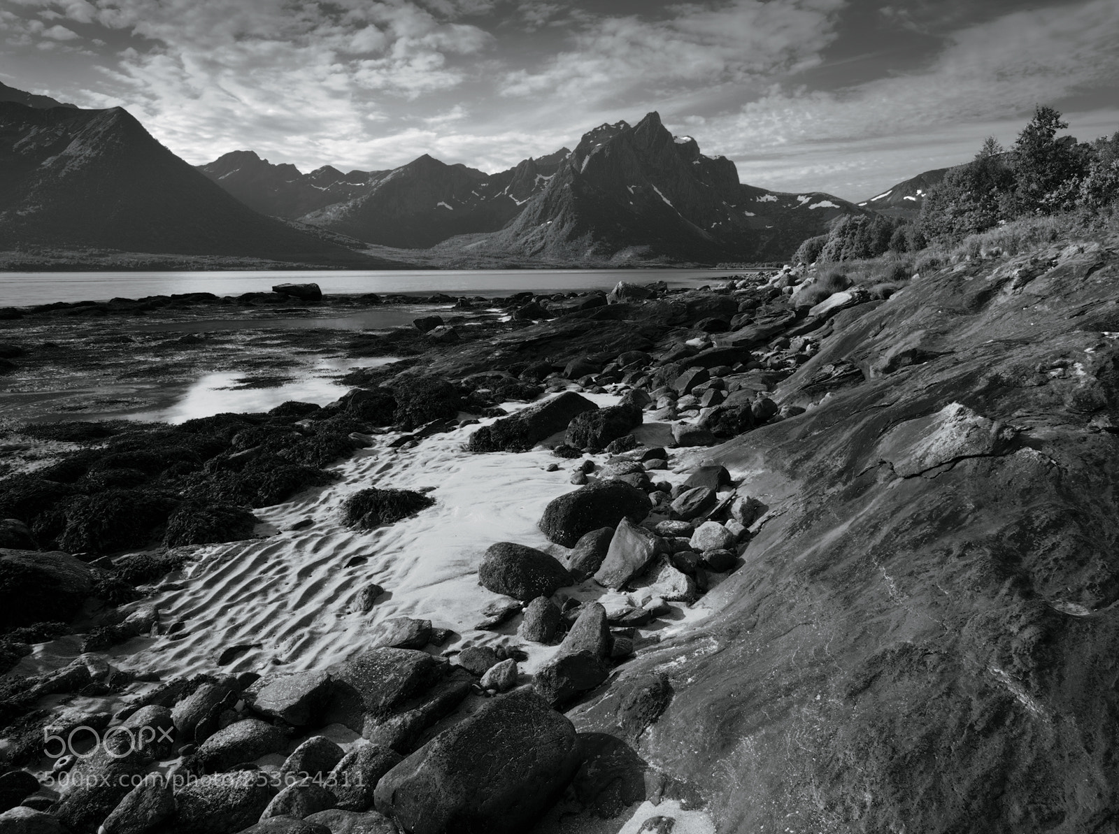 Canon EOS 5D sample photo. `b&w photography