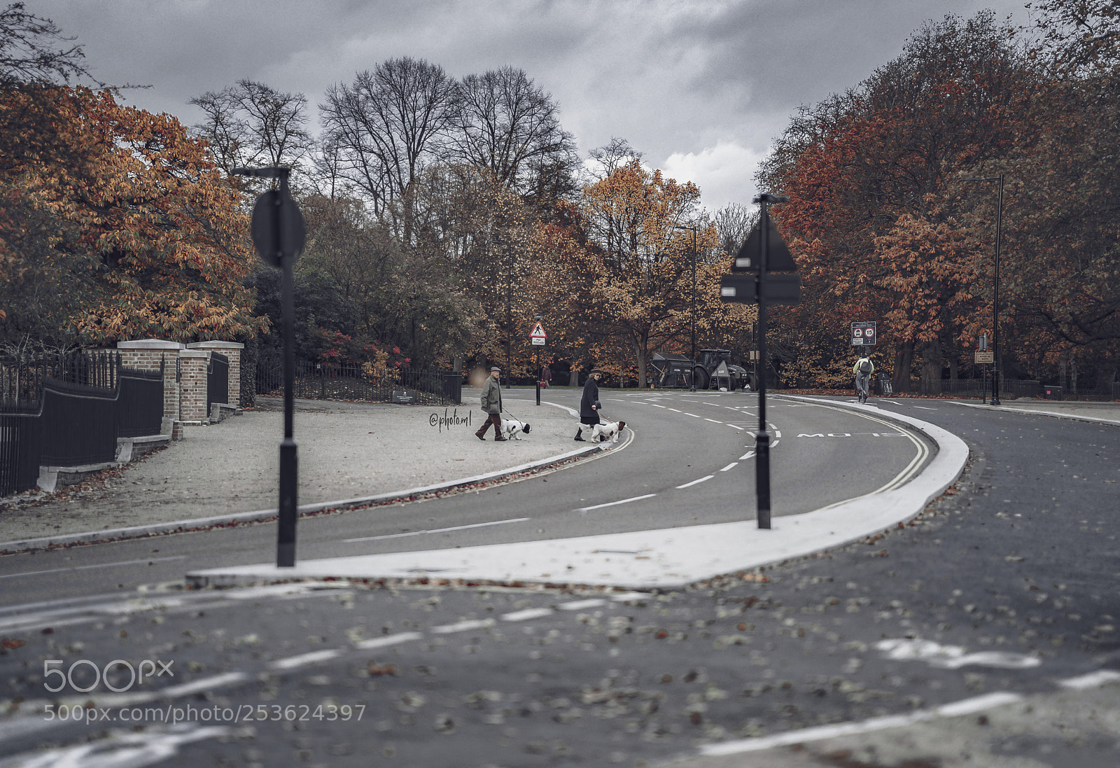 Sony a7R II sample photo. Untitled photography