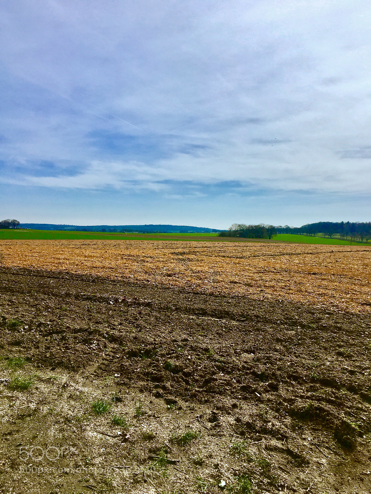 Apple iPhone 6s sample photo. Orange field photography