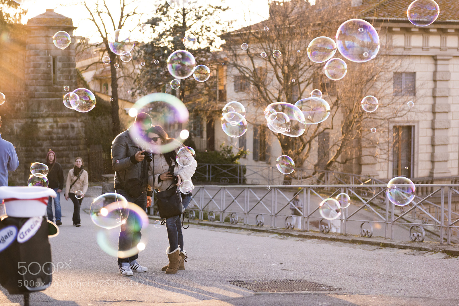 Nikon D810 sample photo. Romantic baubles photography