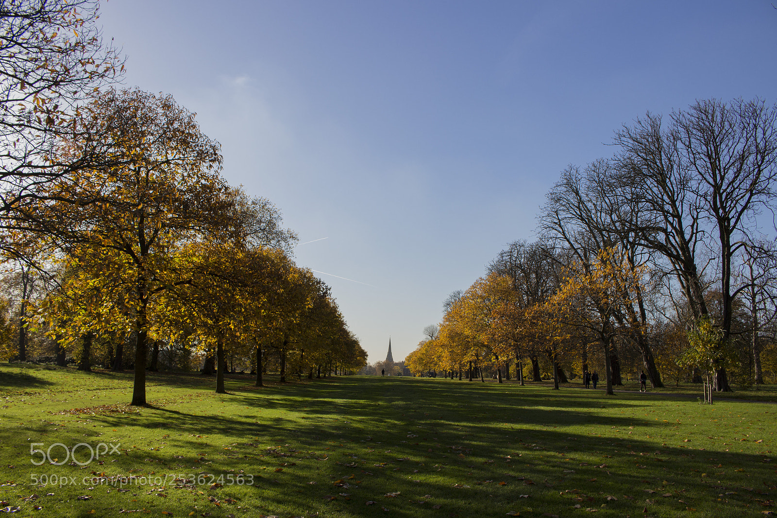 Canon EOS 100D (EOS Rebel SL1 / EOS Kiss X7) sample photo. Hyde park photography