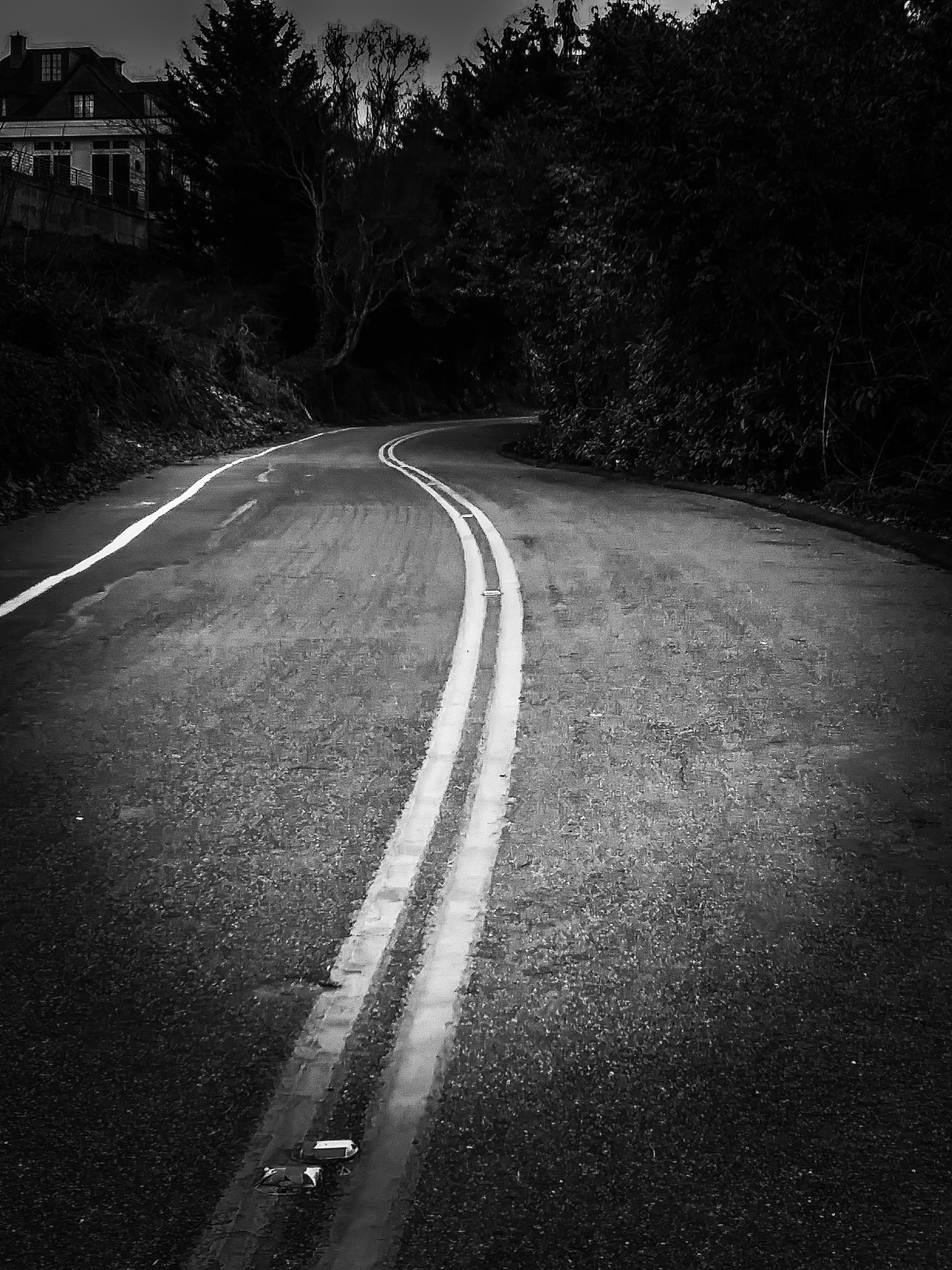 LG ARISTO sample photo. The road to forest photography