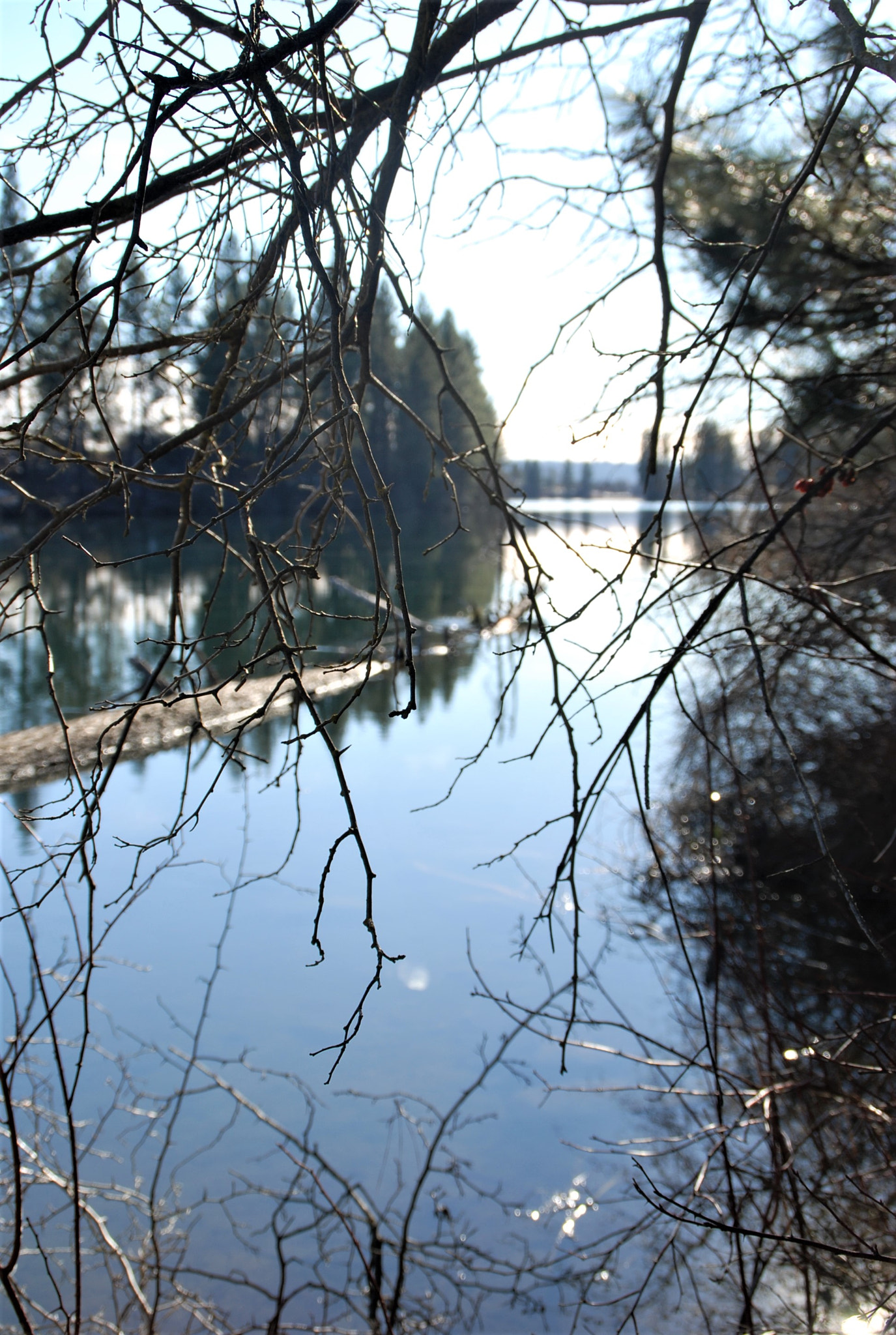 Nikon D80 sample photo. Pointofview photography