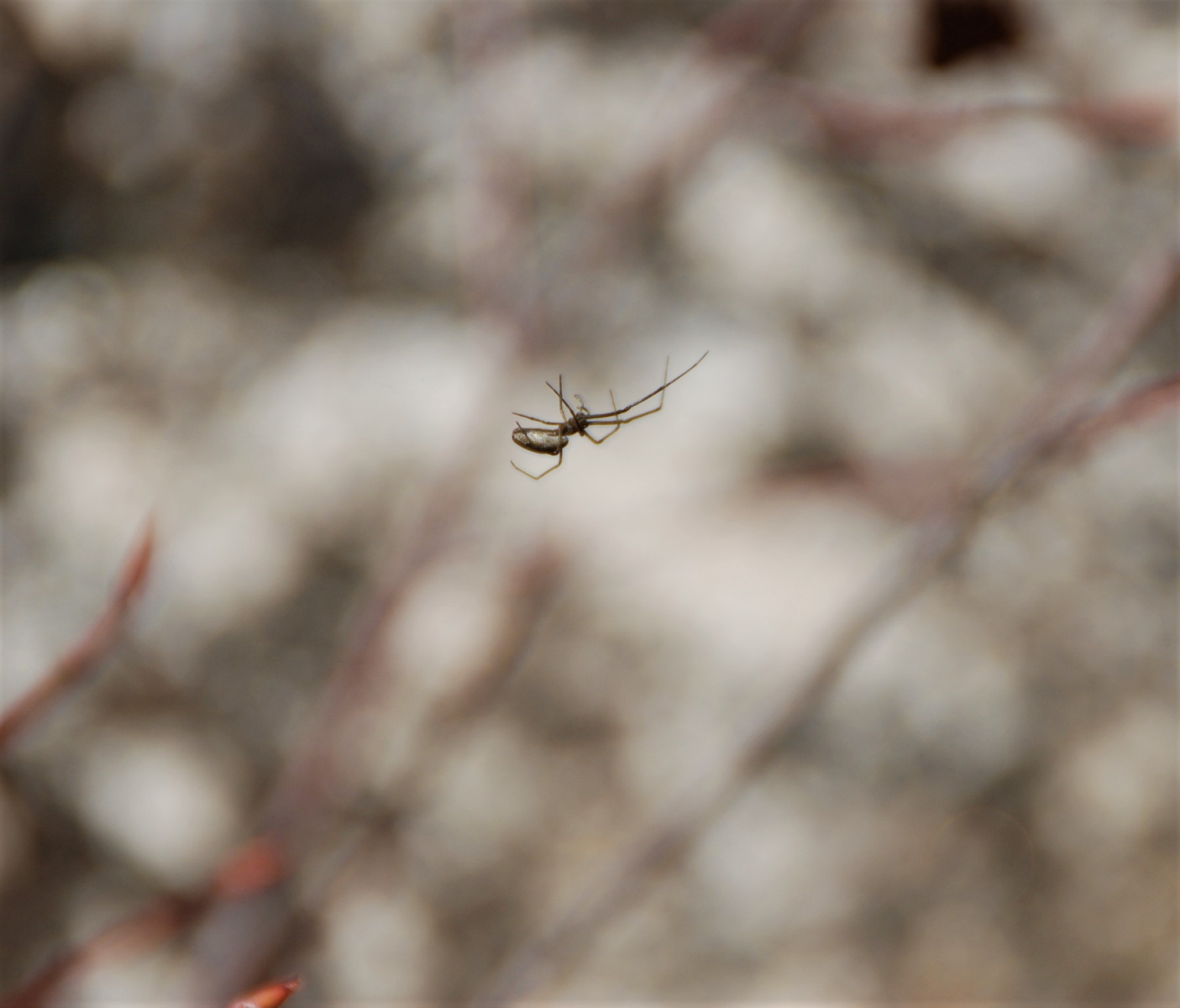 Nikon D80 sample photo. Silhouette photography