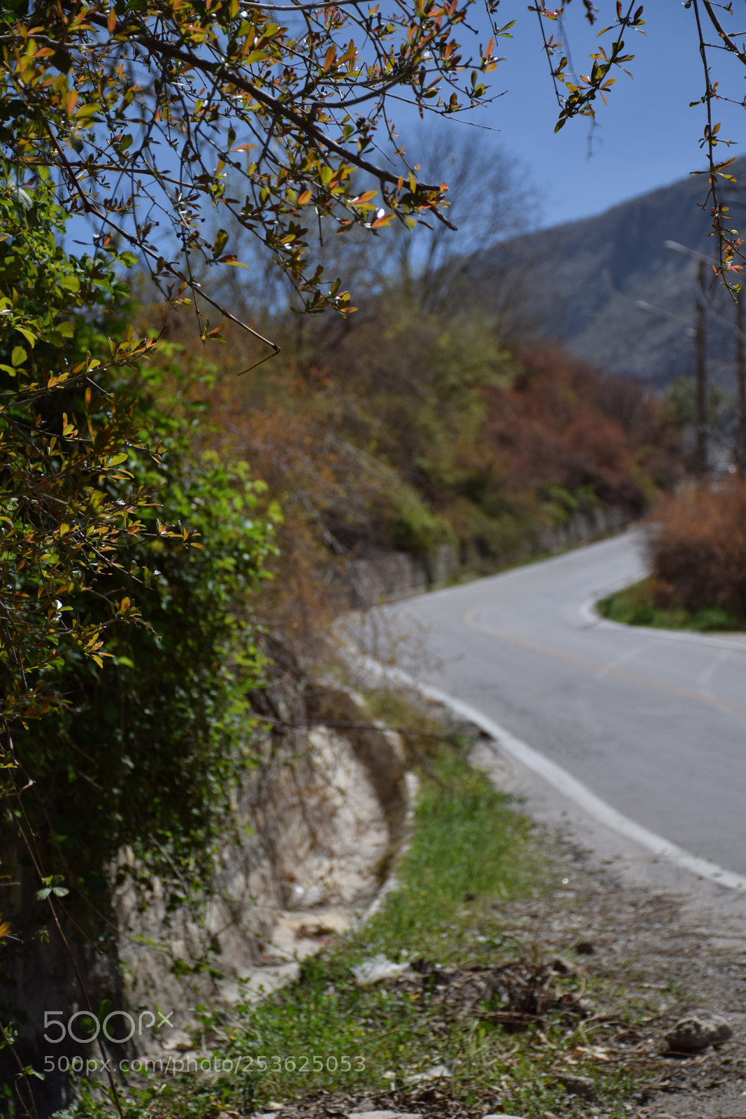 Nikon D5300 sample photo. Untitled photography