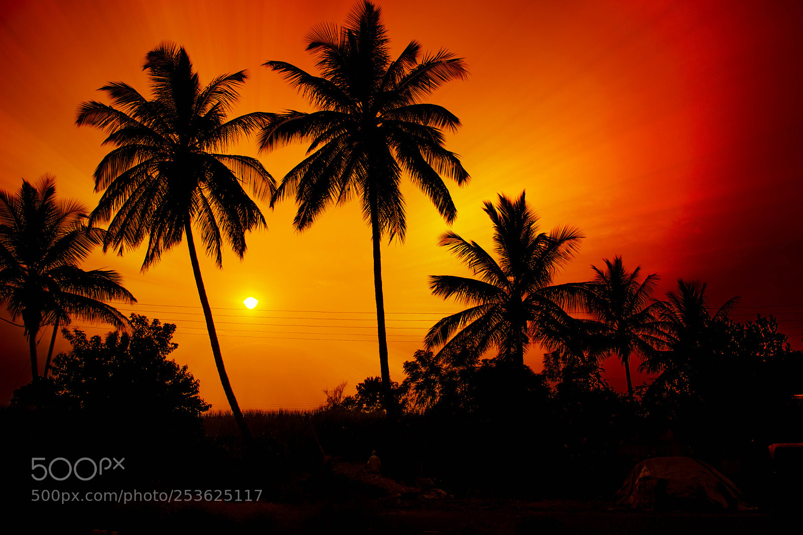 Nikon D5300 sample photo. Sunset photography