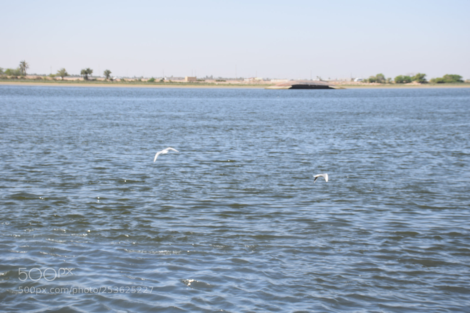 Nikon D5300 sample photo. Untitled photography