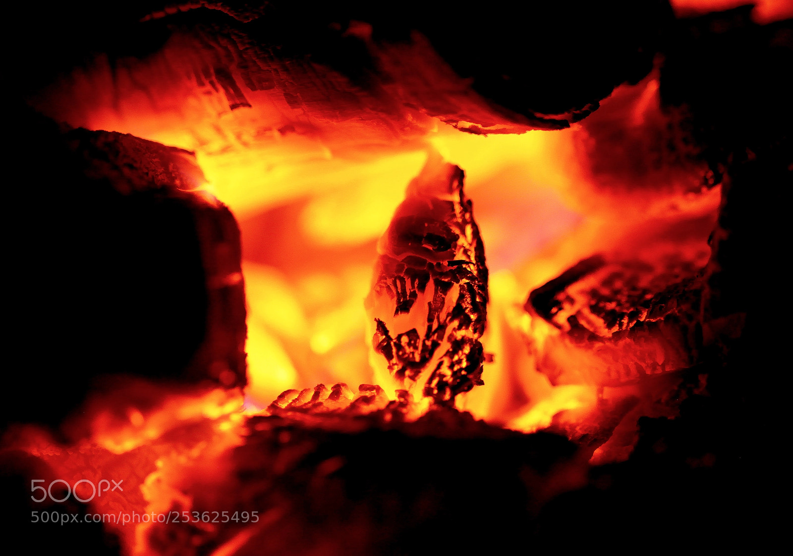Canon EOS 5D Mark II sample photo. The origin of the photography