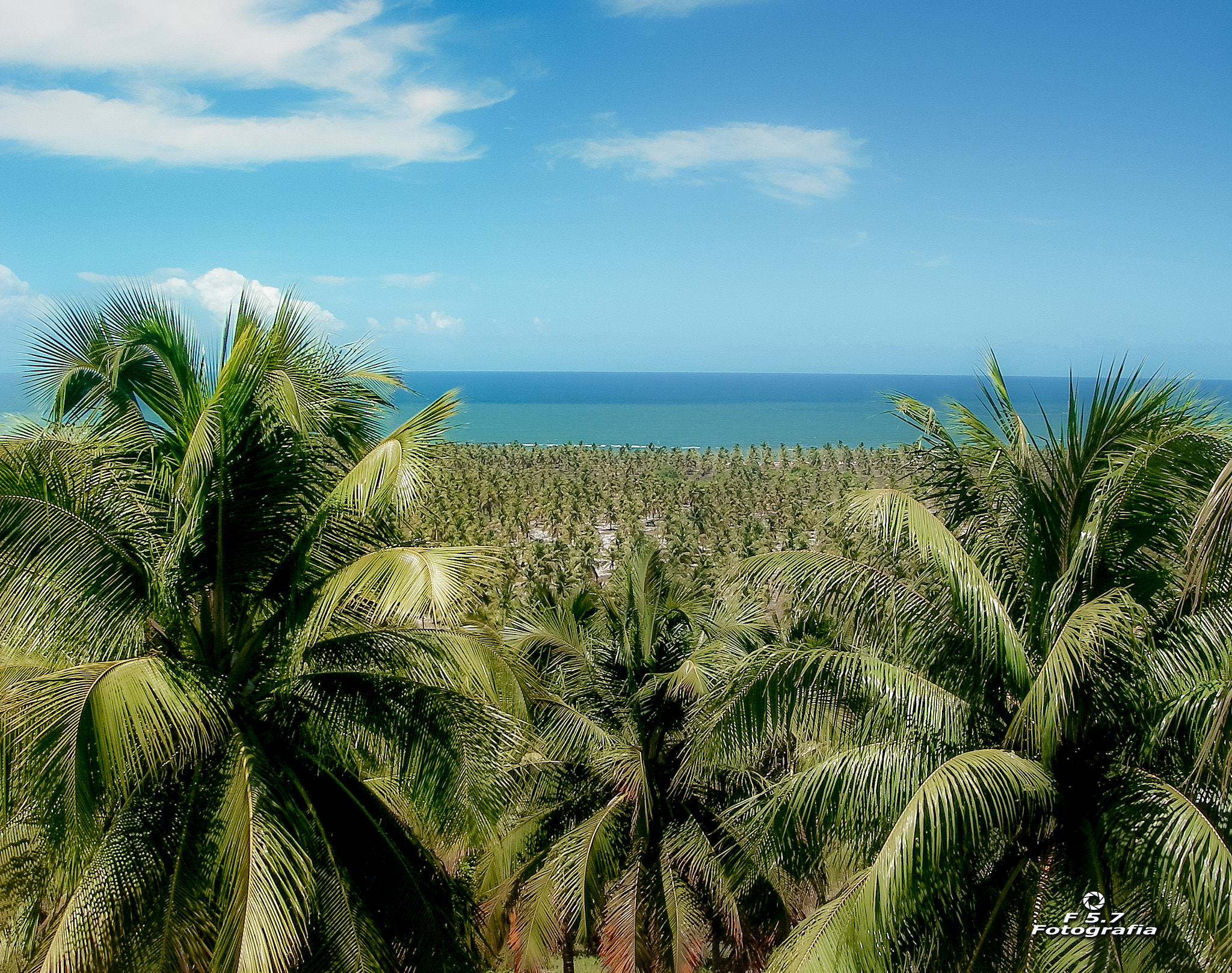 Pentax OPTIO W10 sample photo. Coqueiros - praia do gunga - alagoas - brasil photography