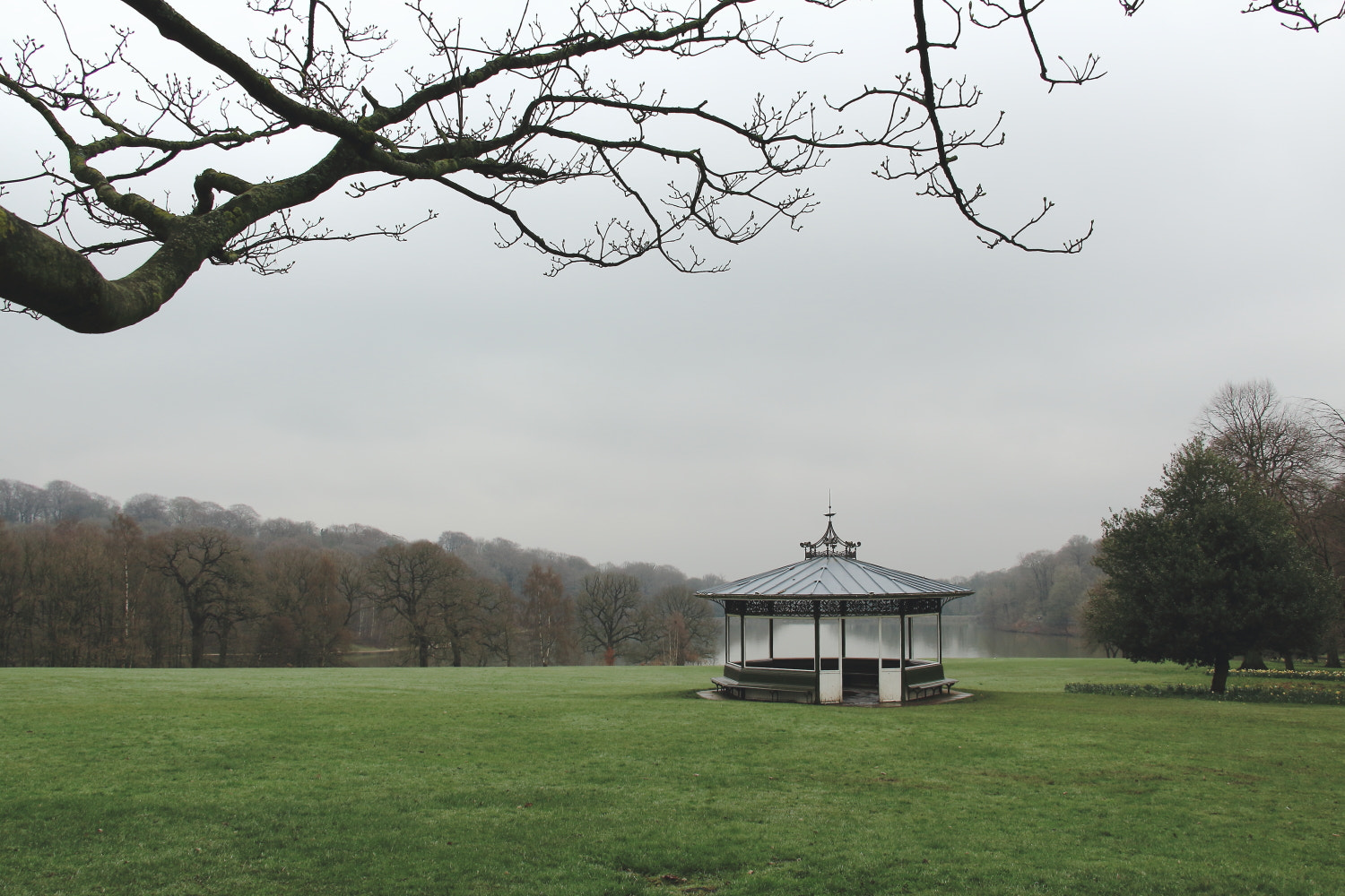 Canon EOS 1300D (EOS Rebel T6 / EOS Kiss X80) sample photo. Roundhay park photography