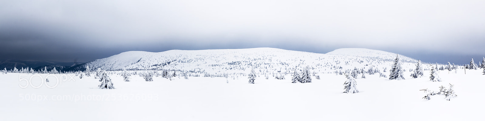 Canon EOS 600D (Rebel EOS T3i / EOS Kiss X5) sample photo. Winter panorama photography