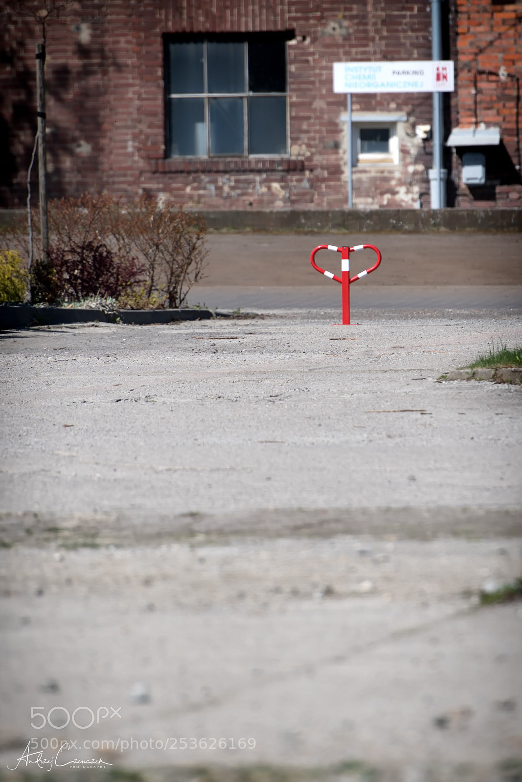 Nikon D5 sample photo. New in the city photography