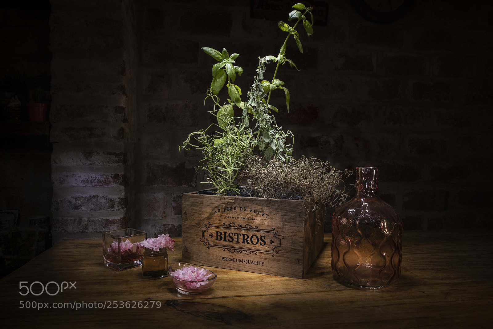 Nikon D810 sample photo. Bodeg n de plantas photography