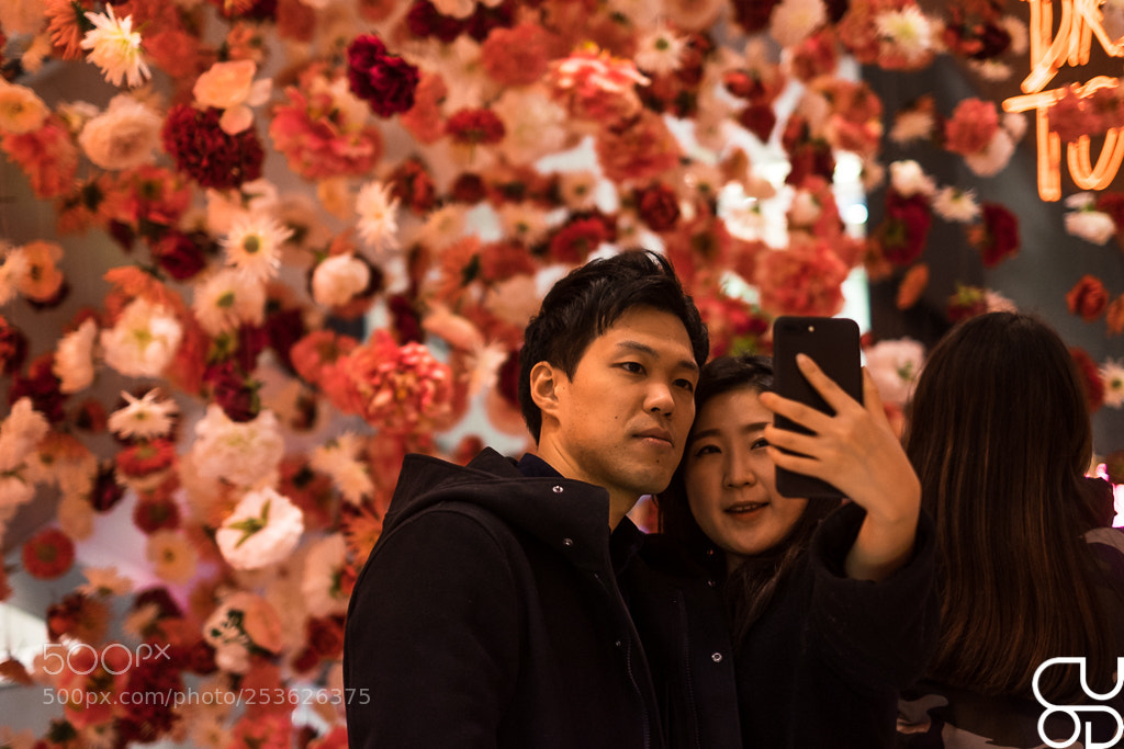 Fujifilm X-T1 sample photo. Flower us photography