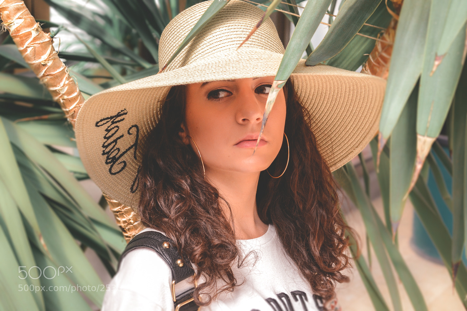 Nikon D3100 sample photo. Green photography