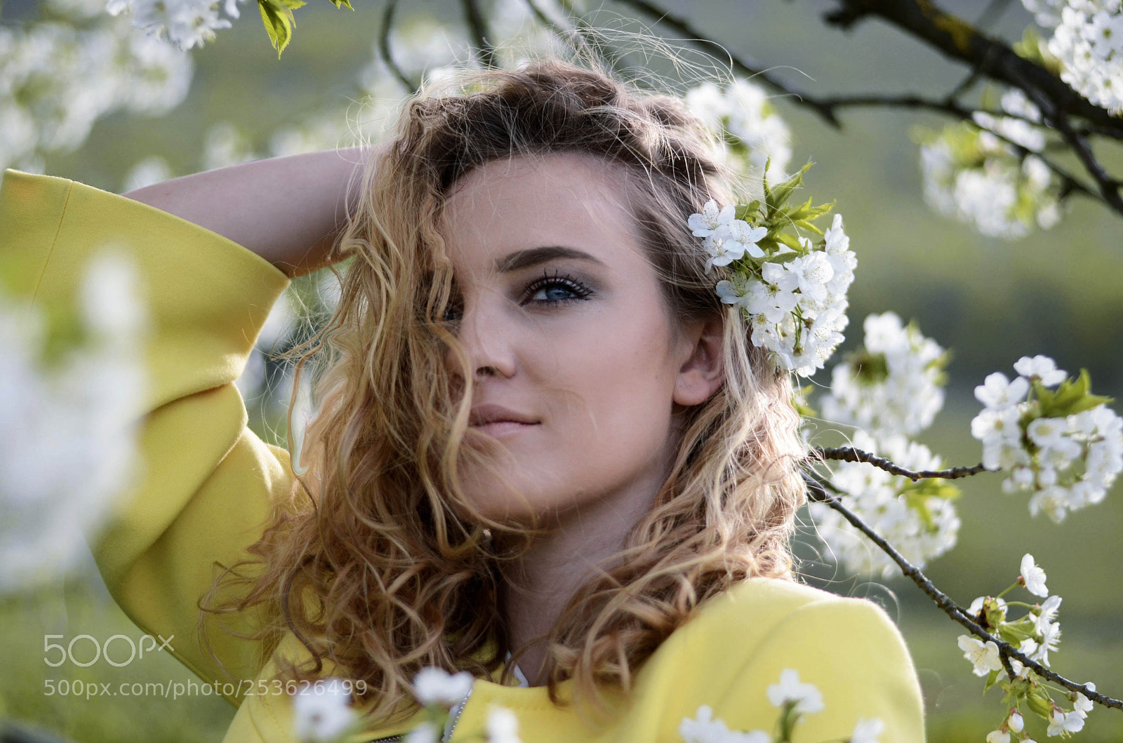Nikon D7000 sample photo. Ilma photography