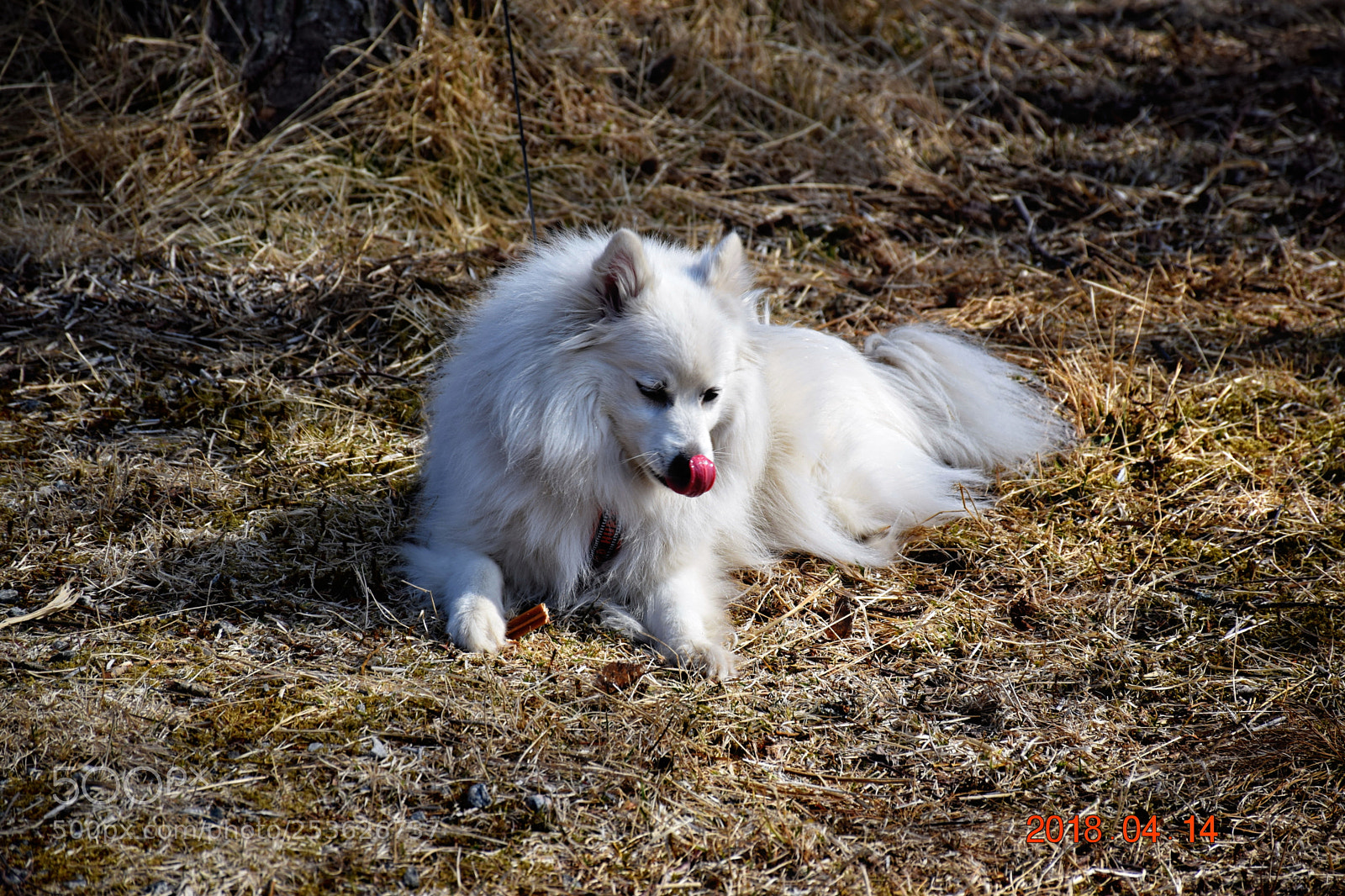 Nikon D5300 sample photo. Dsc photography