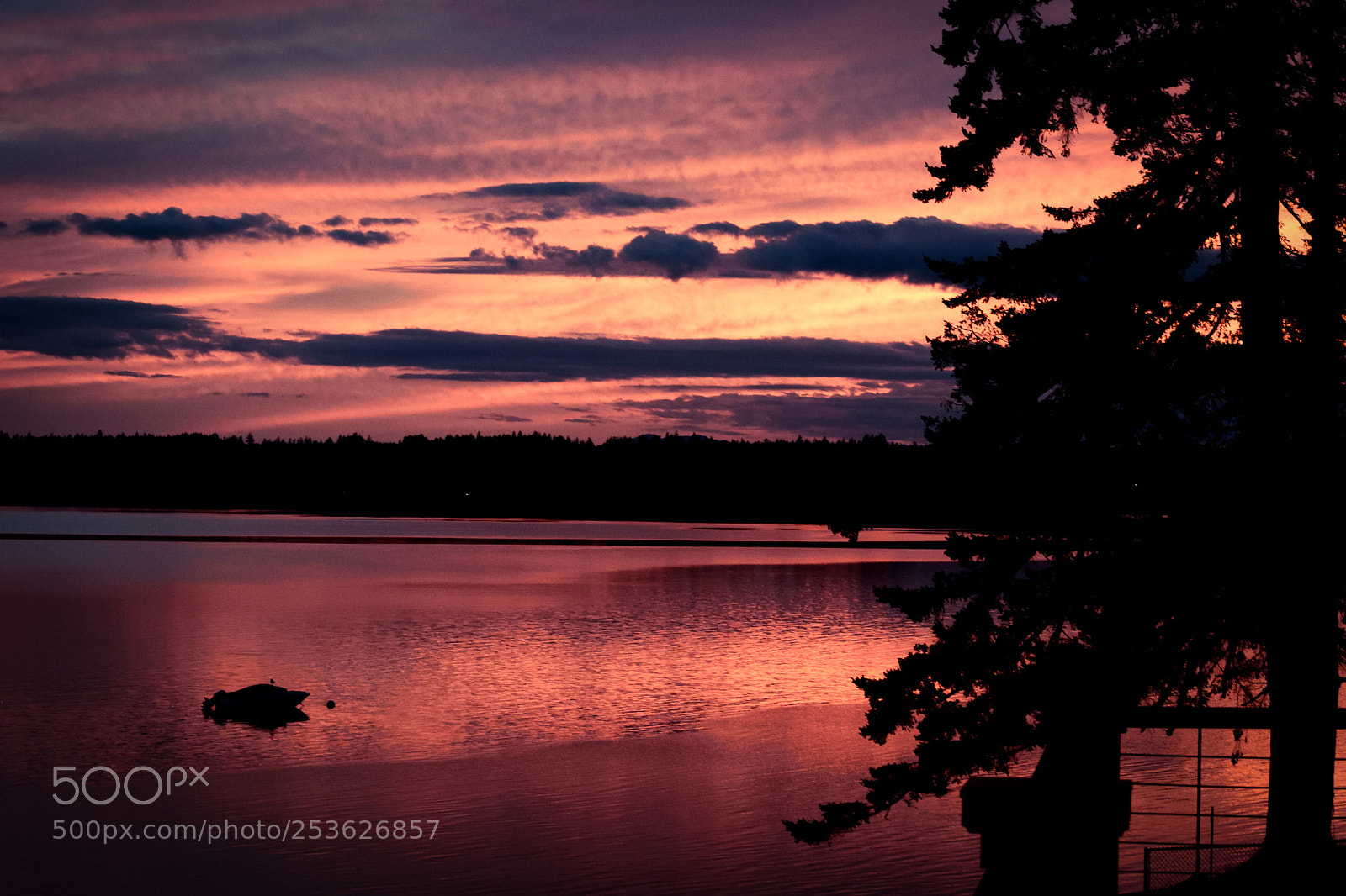 Nikon D3300 sample photo. Pink sunset photography