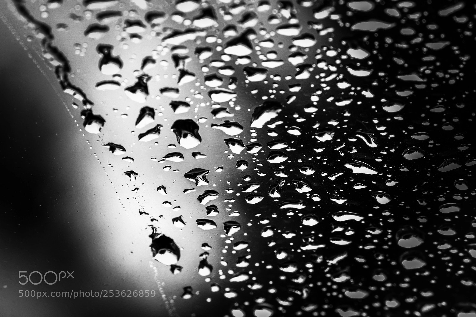 Nikon D3300 sample photo. Drops photography