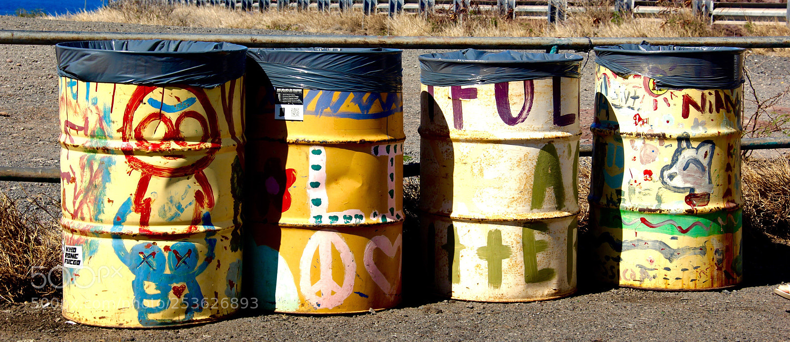 Canon EOS 60D sample photo. Barrel art photography