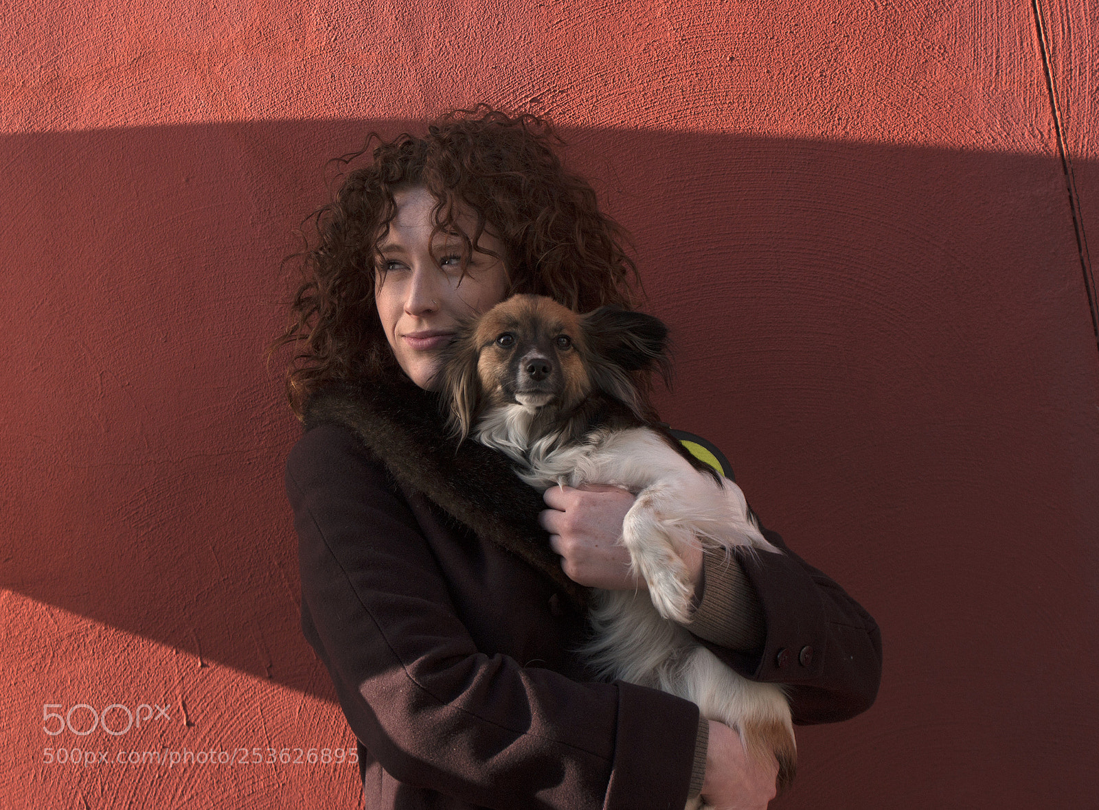 Sony Alpha DSLR-A350 sample photo. Lilly and aurora photography