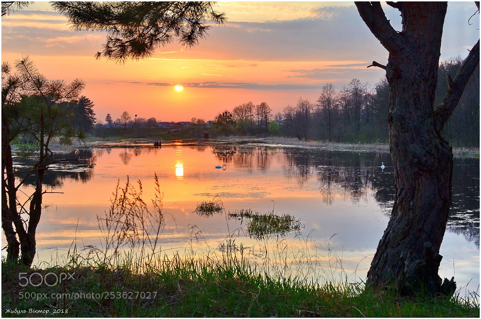 Nikon D5100 + Nikon AF-S DX Nikkor 35mm F1.8G sample photo. Бег за солнцем photography