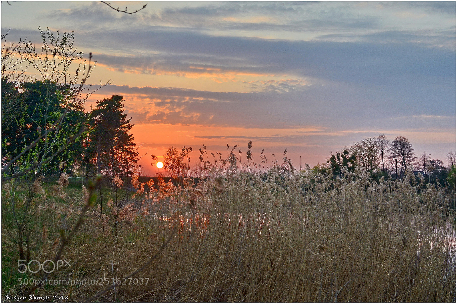 Nikon D5100 + Nikon AF-S DX Nikkor 35mm F1.8G sample photo. Бег за солнцем photography