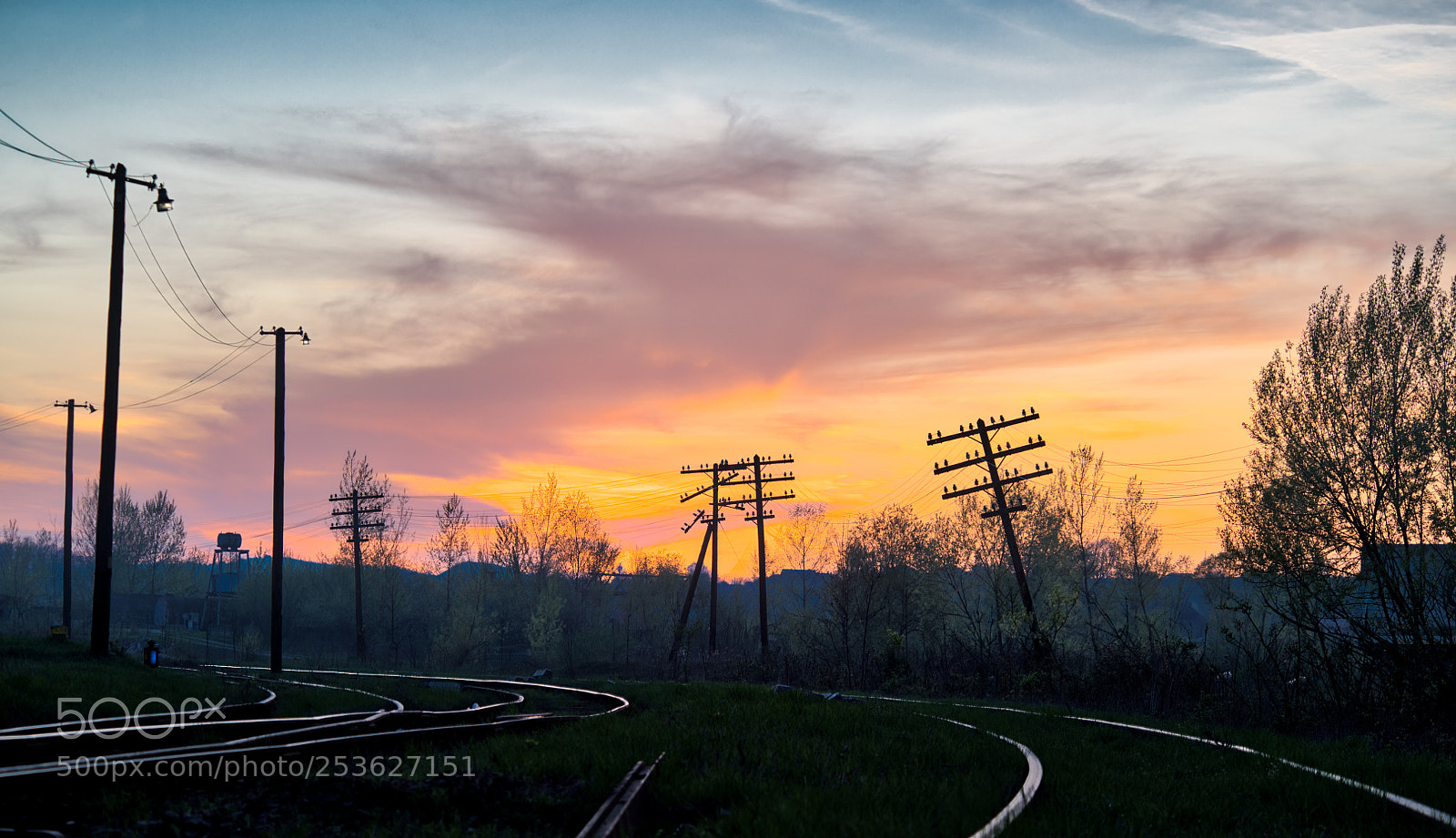 Nikon D850 sample photo. Train view photography