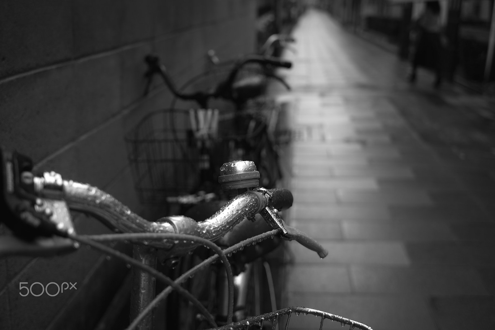 Sigma DP2 sample photo. The shade #22 photography