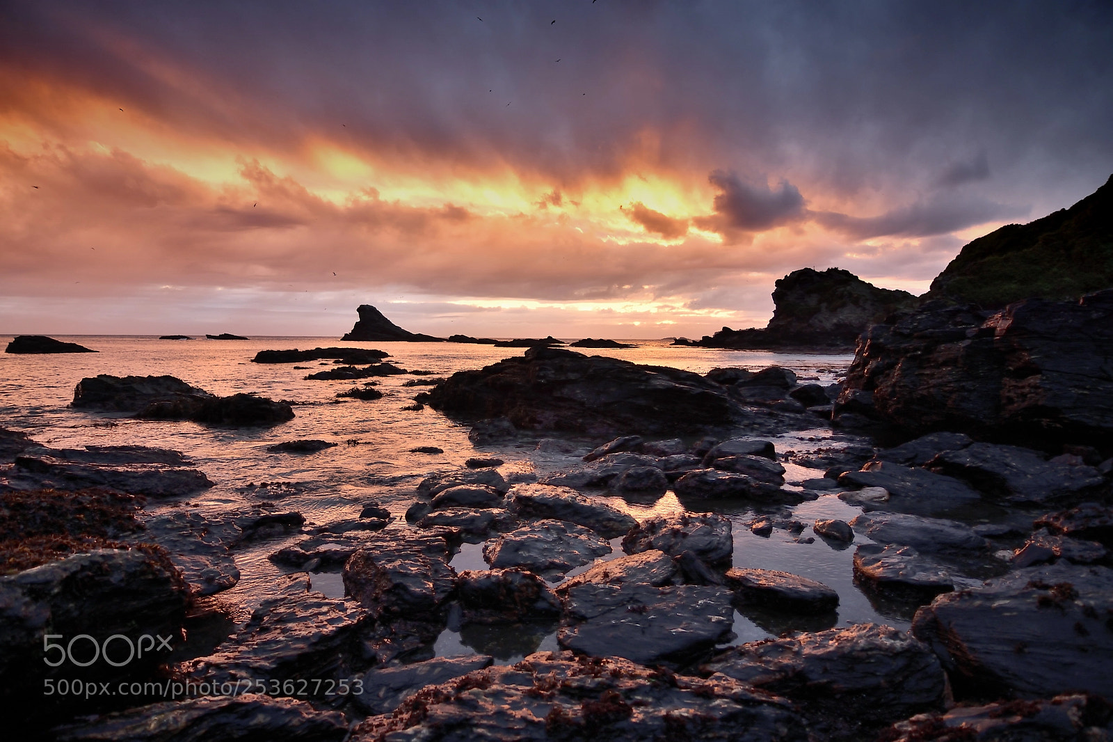 Nikon D500 sample photo. Dramatic sunset 2 photography