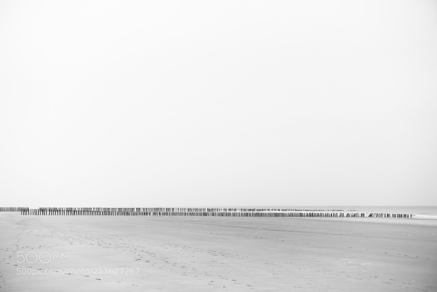Nikon D810 sample photo. Beach 1 photography
