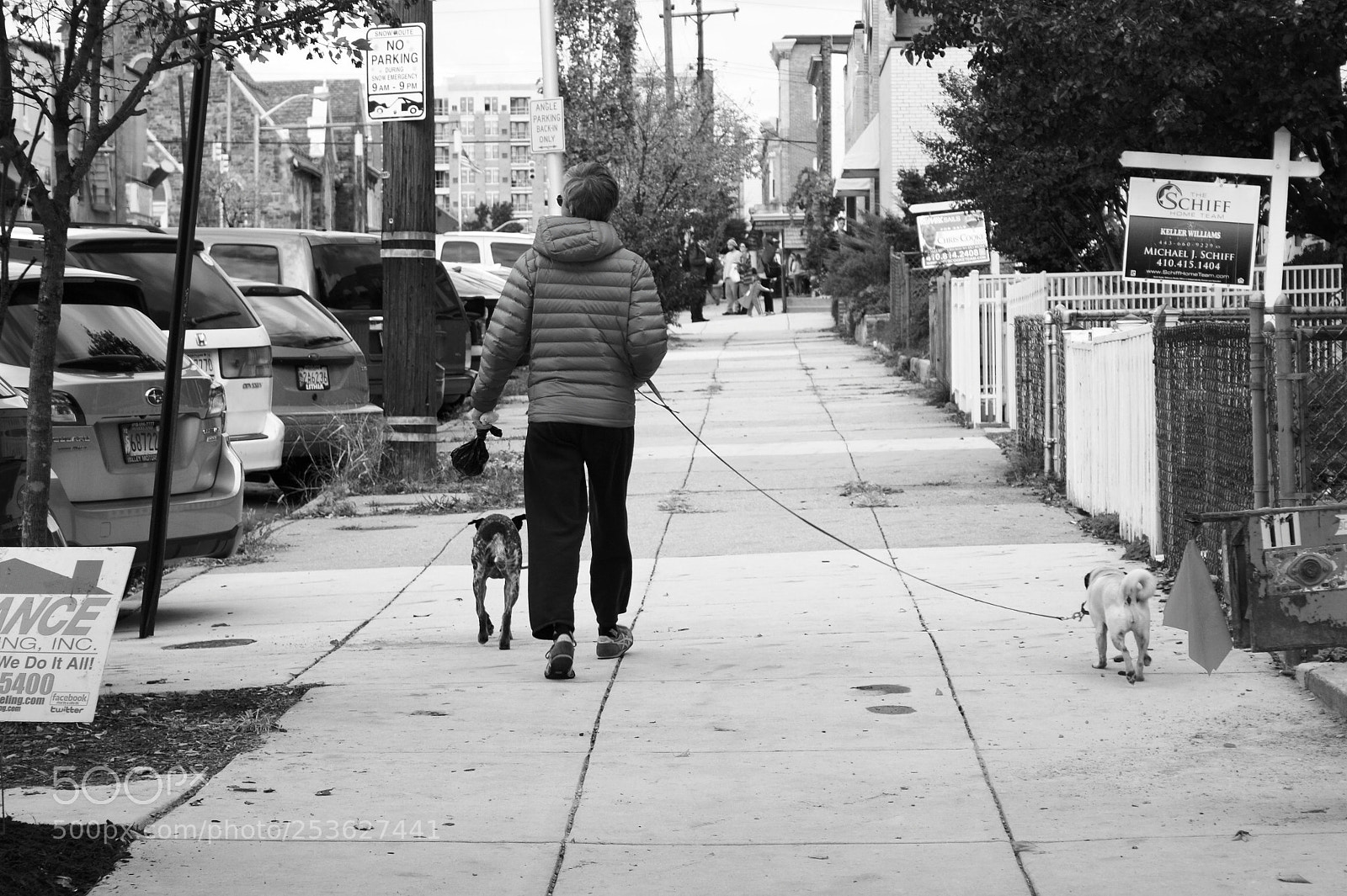 Sony Alpha DSLR-A350 sample photo. Walking the dogs photography
