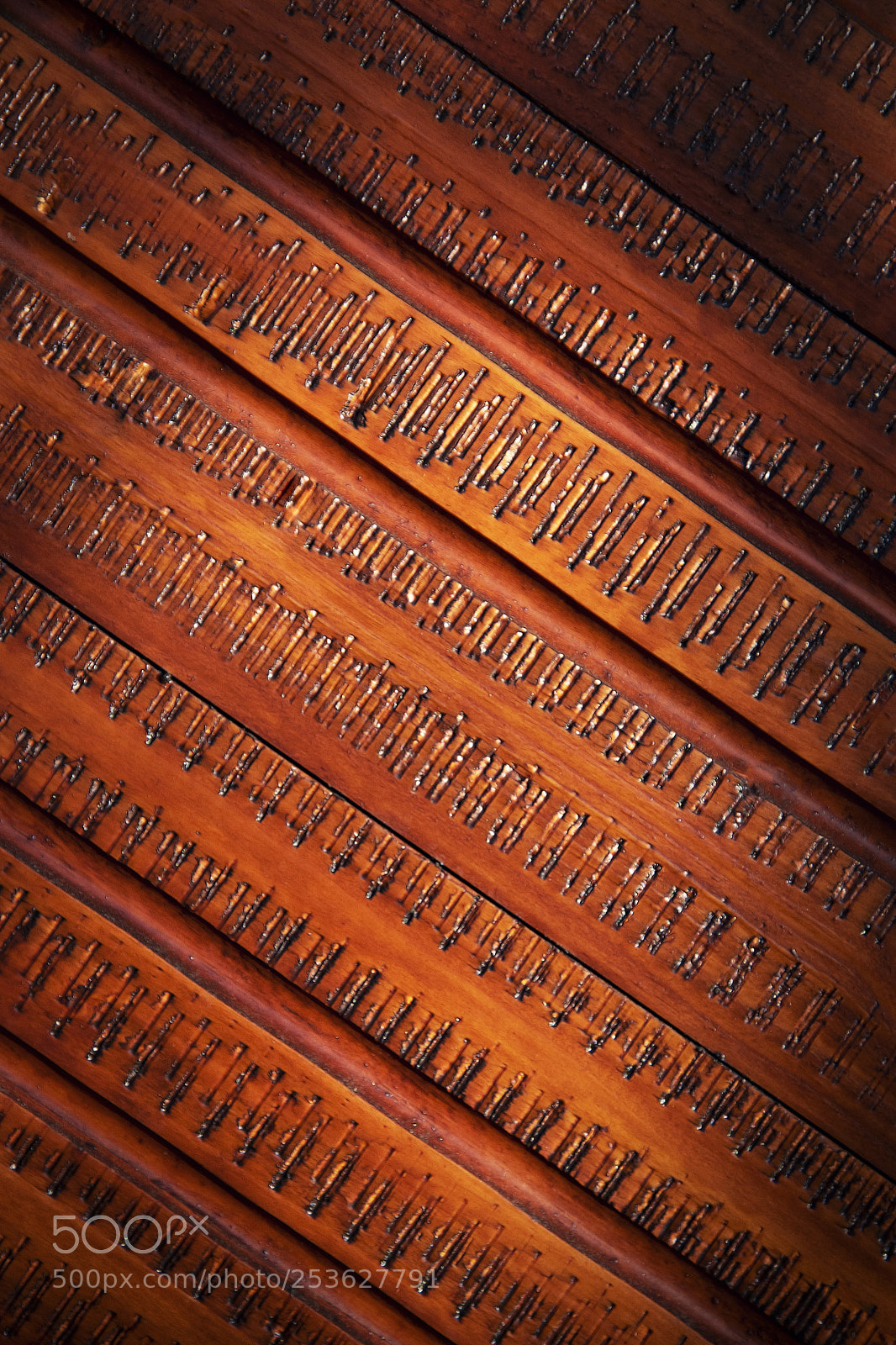 Nikon D5500 sample photo. Detail damage has wooden photography