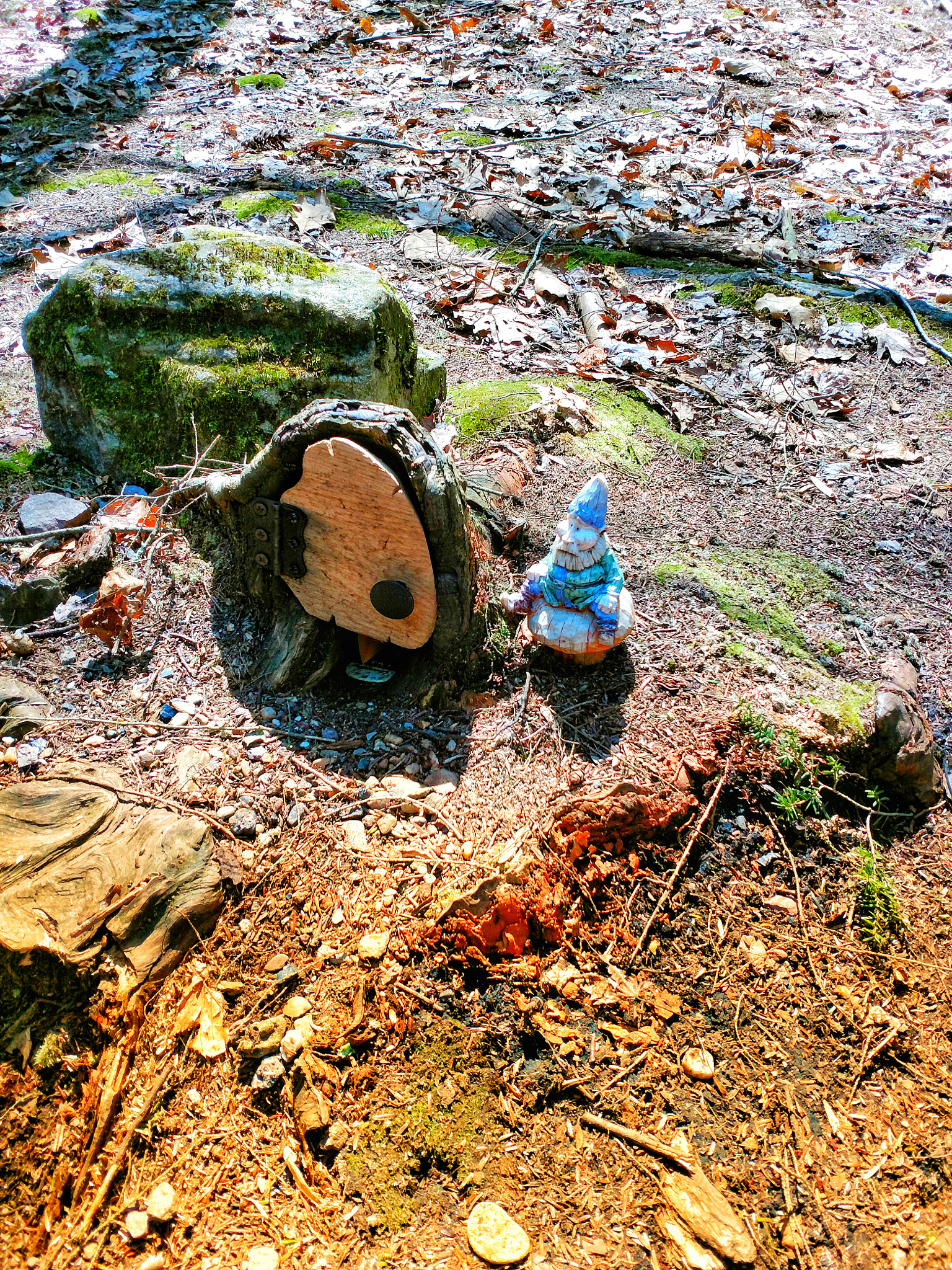 Motorola XT1650 sample photo. The gnome is home photography