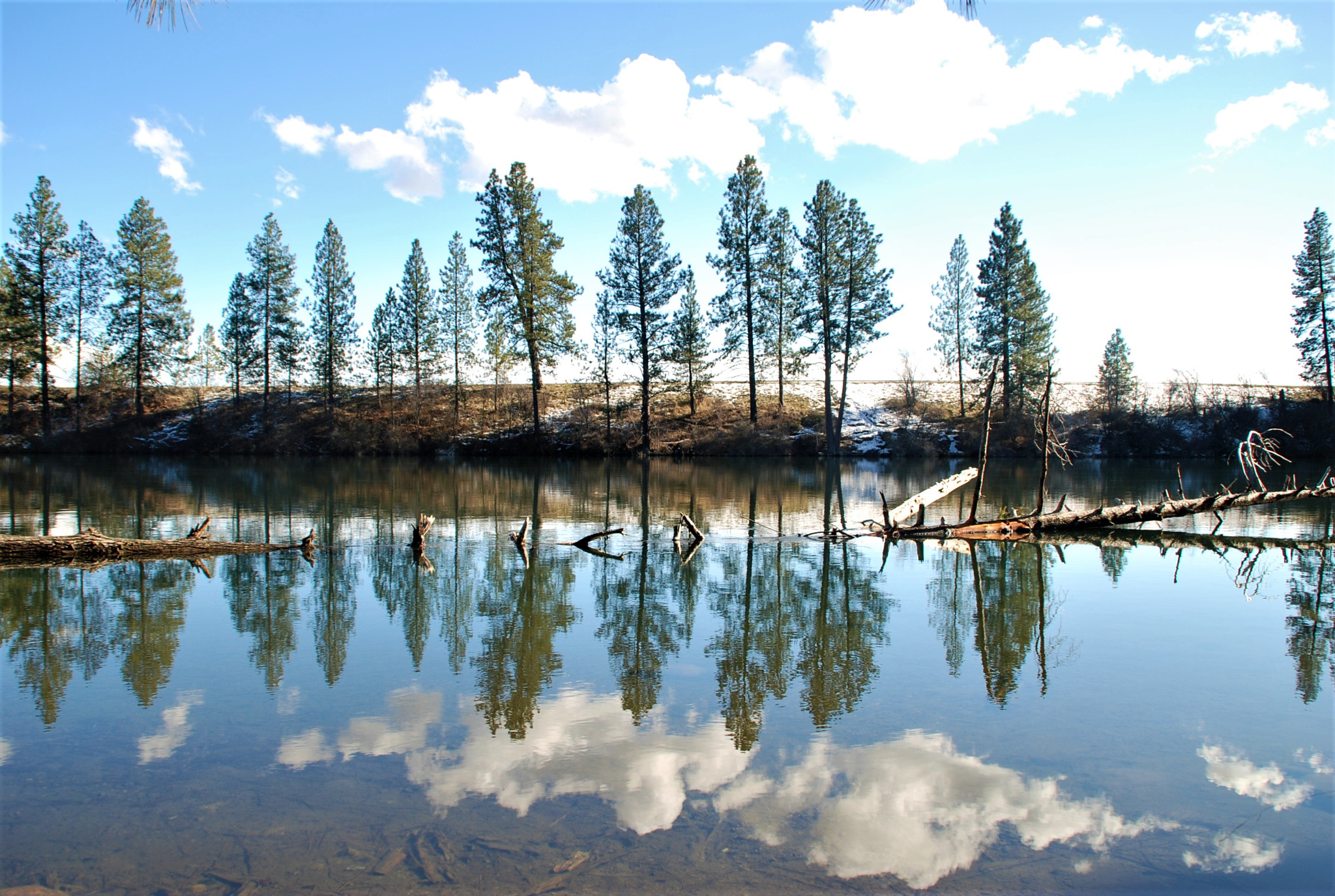 Nikon D80 sample photo. Thebigpicture photography